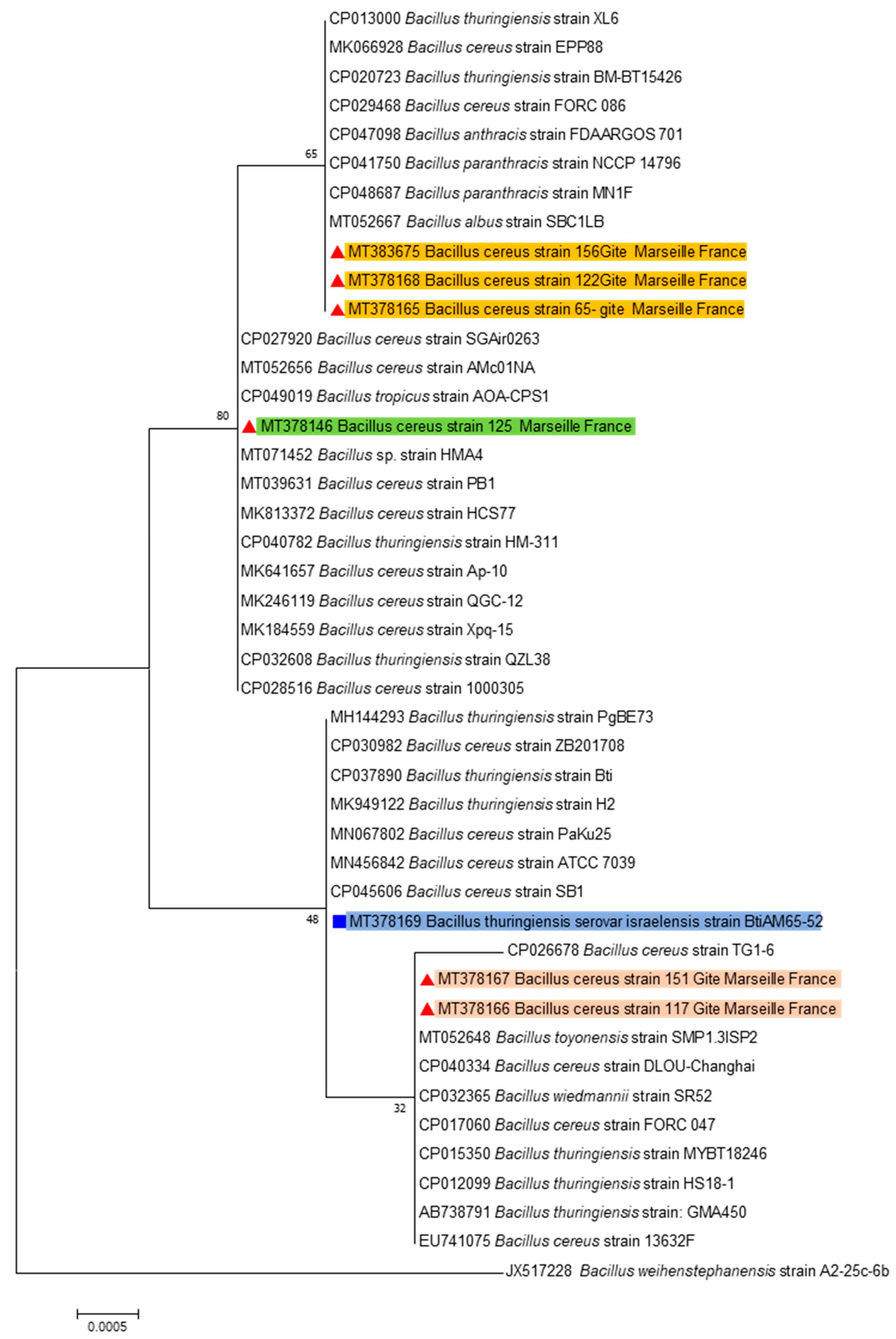 Pathogens 09 00486 g002