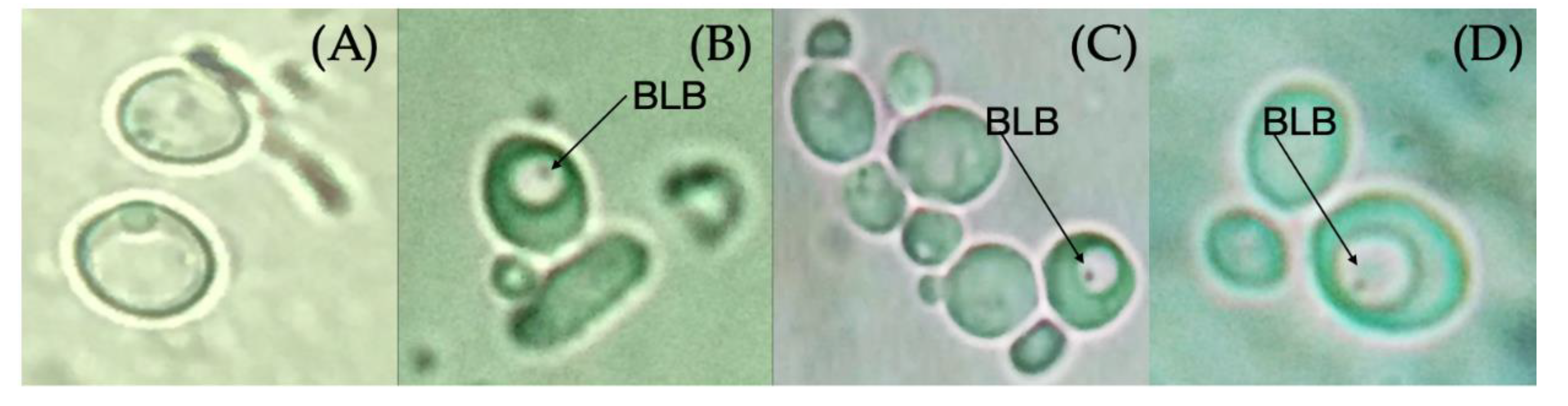 Pathogens 09 00489 g003 Pathogens 09 00489 g003