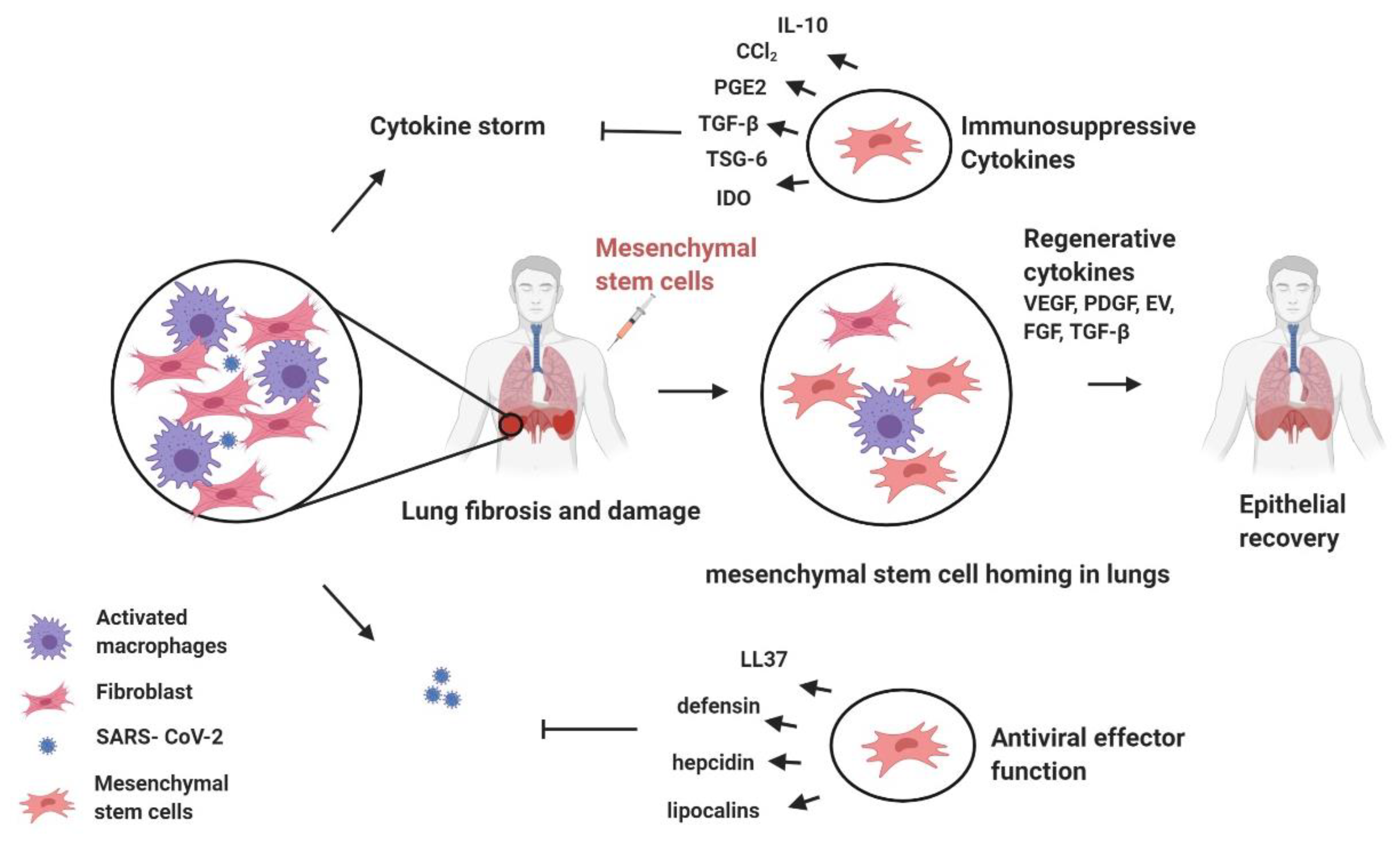 Pathogens 09 00501 g002 Pathogens 09 00501 g002