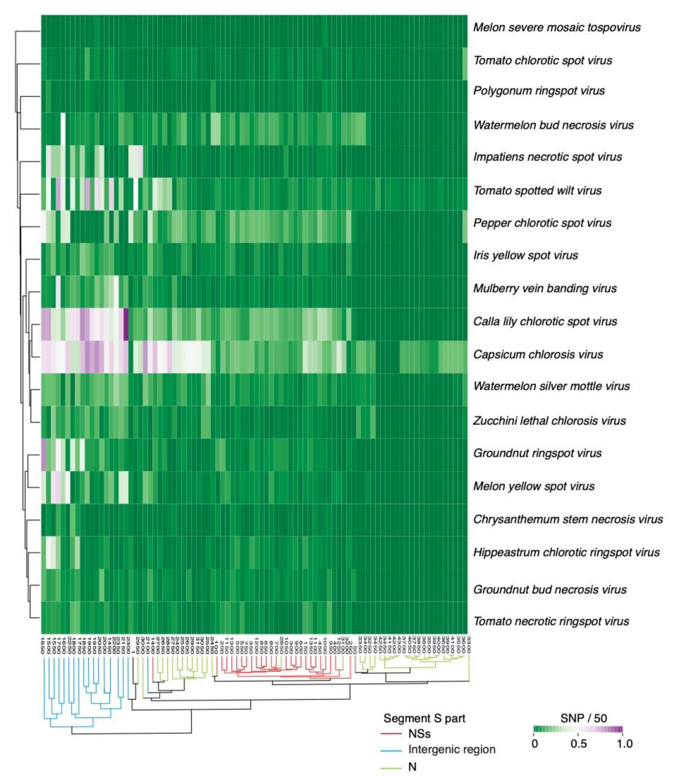 Pathogens 09 00521 g005