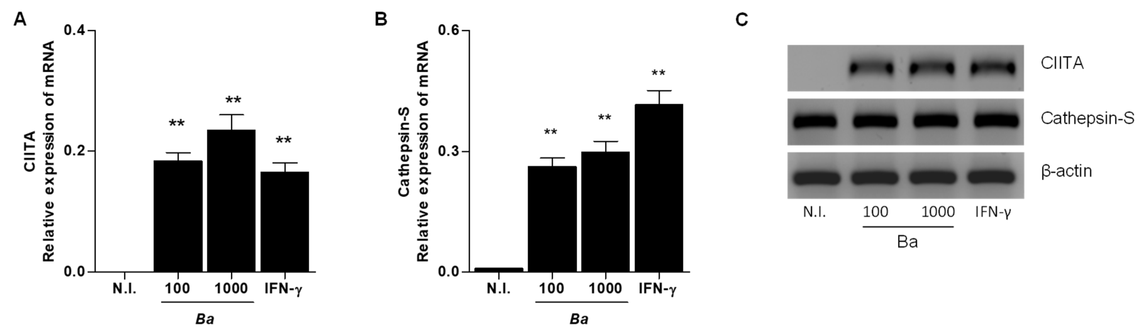 Pathogens 09 00527 g002