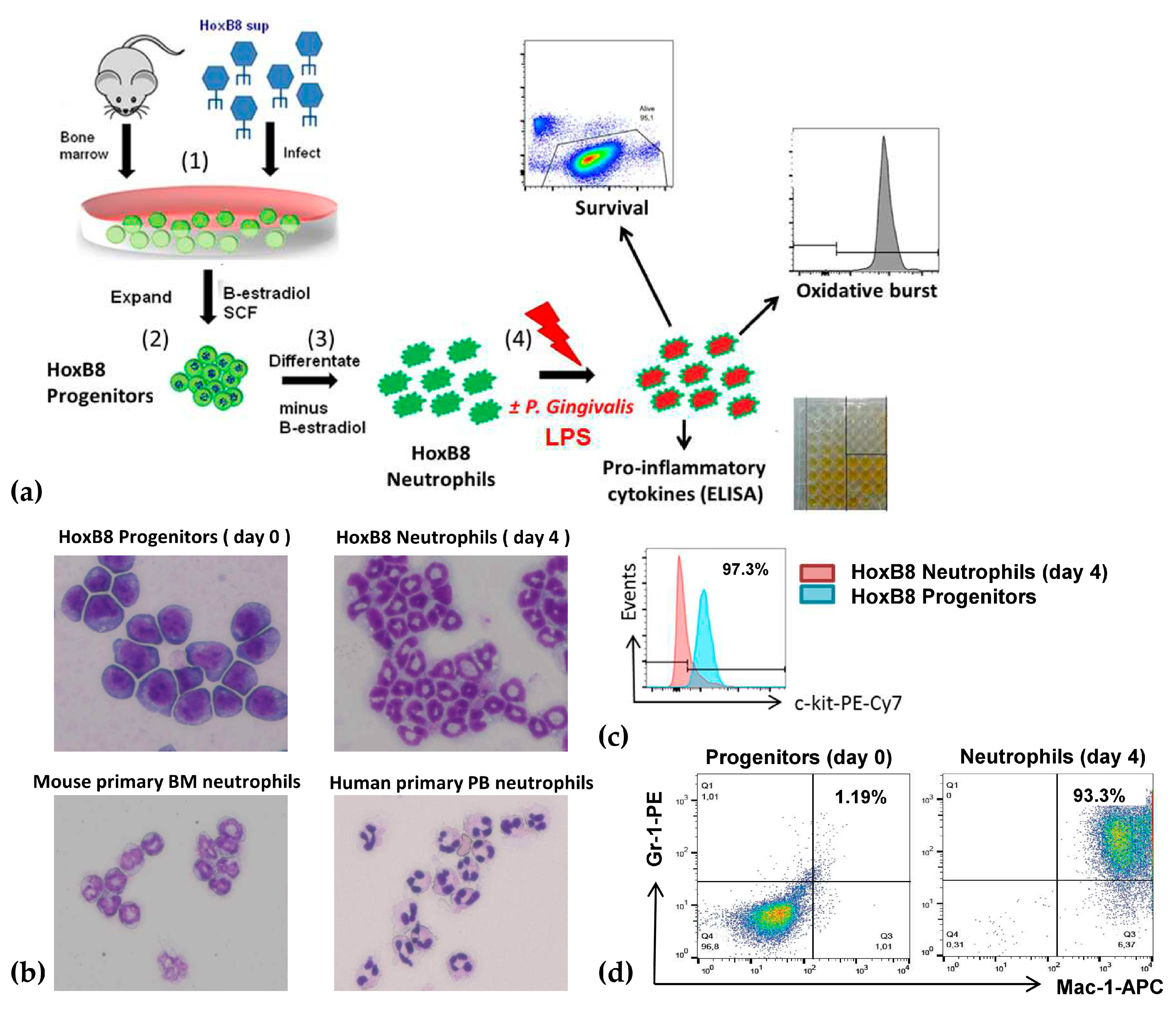 Pathogens 09 00530 g001 Pathogens 09 00530 g001