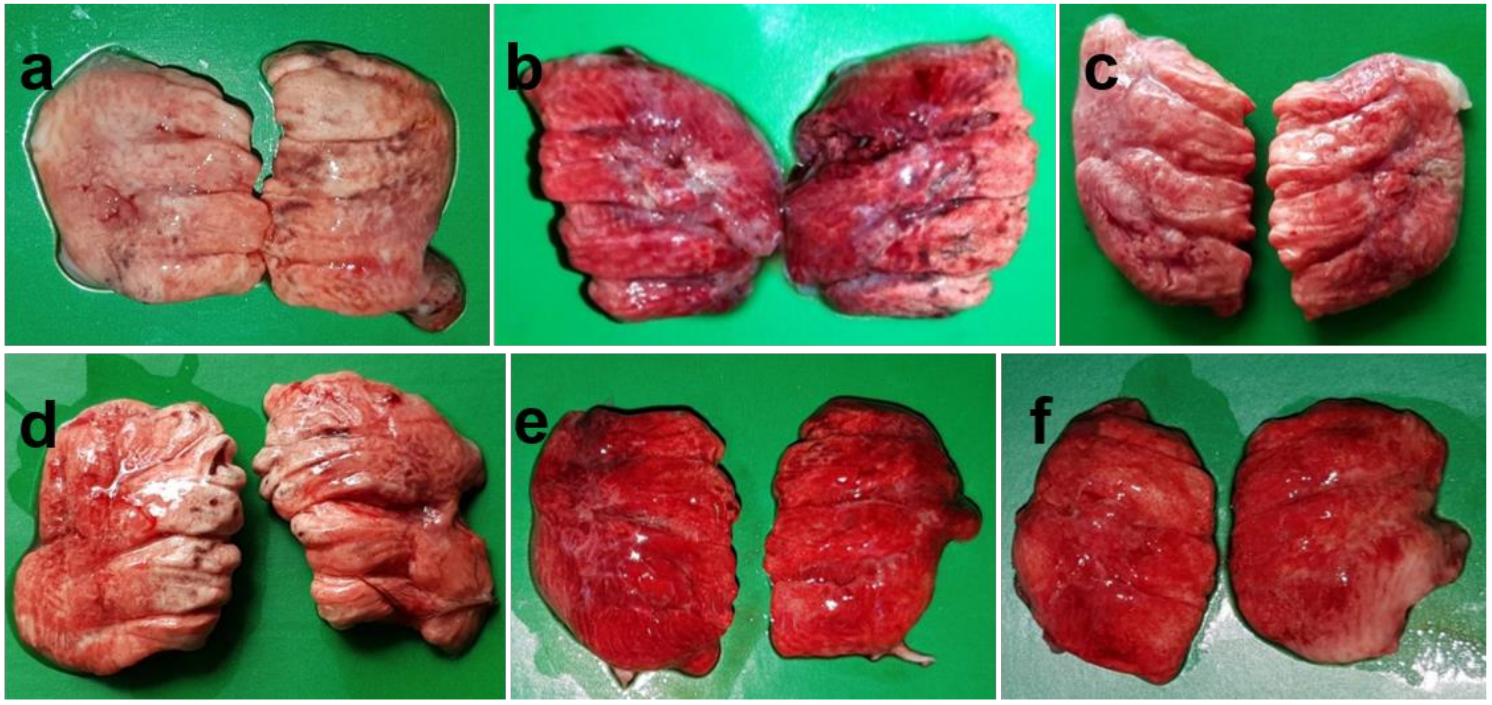 Pathogens 09 00539 g001 Pathogens 09 00539 g001