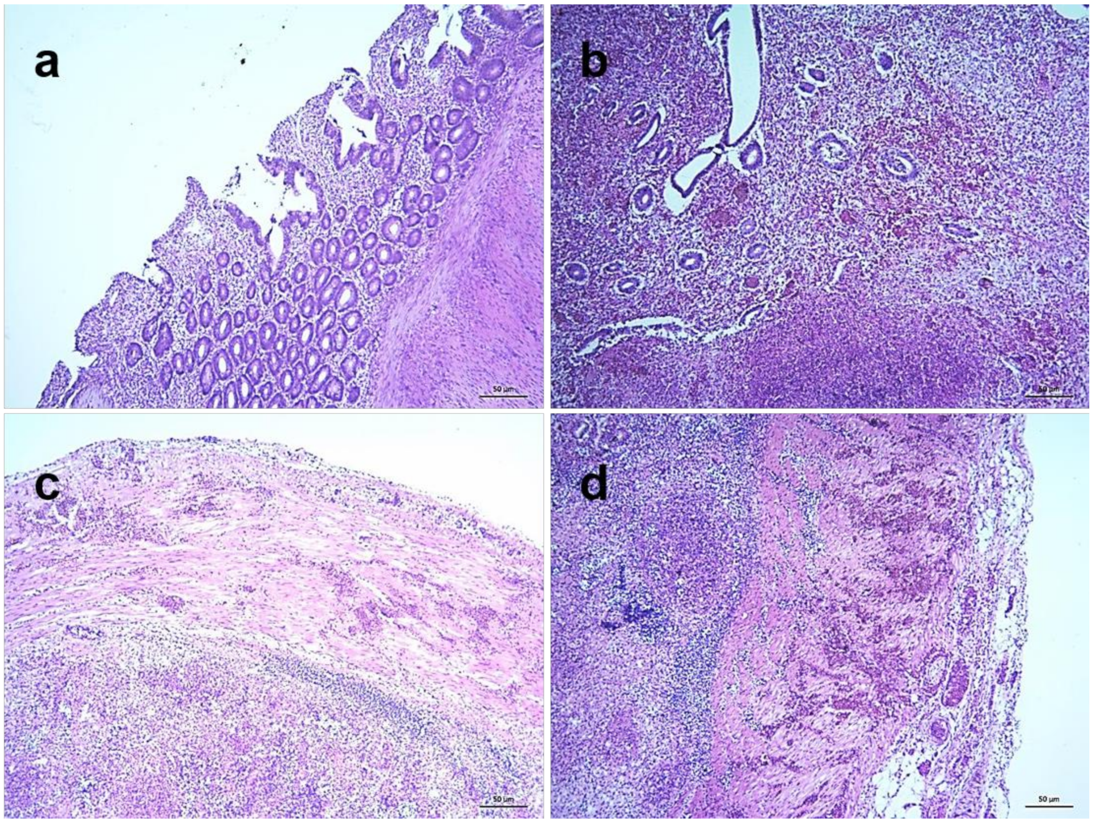 Pathogens 09 00539 g008 Pathogens 09 00539 g008