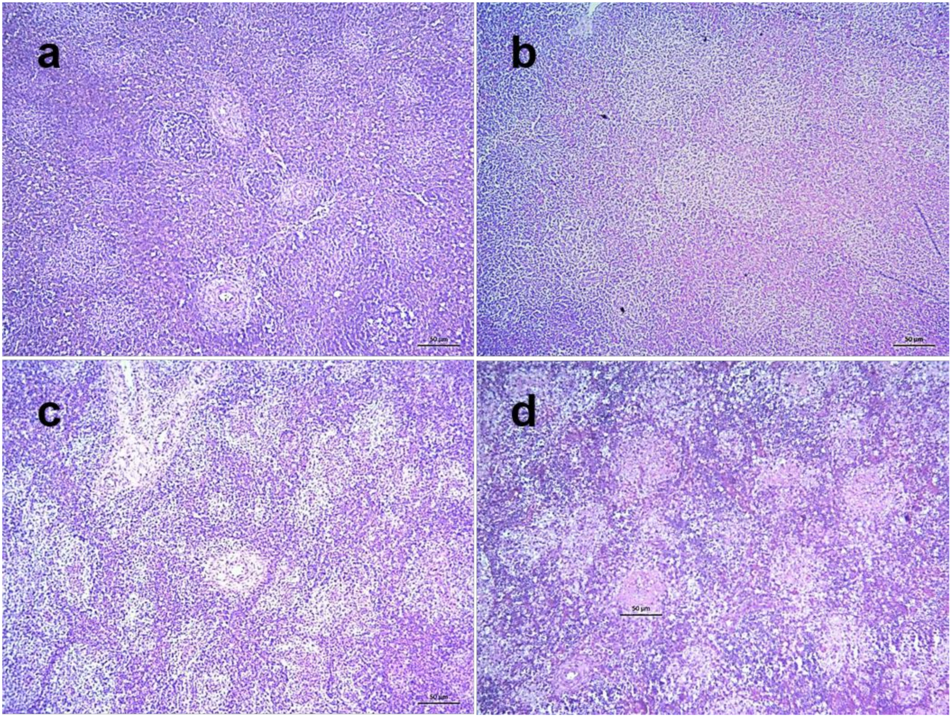 Pathogens 09 00539 g009 Pathogens 09 00539 g009