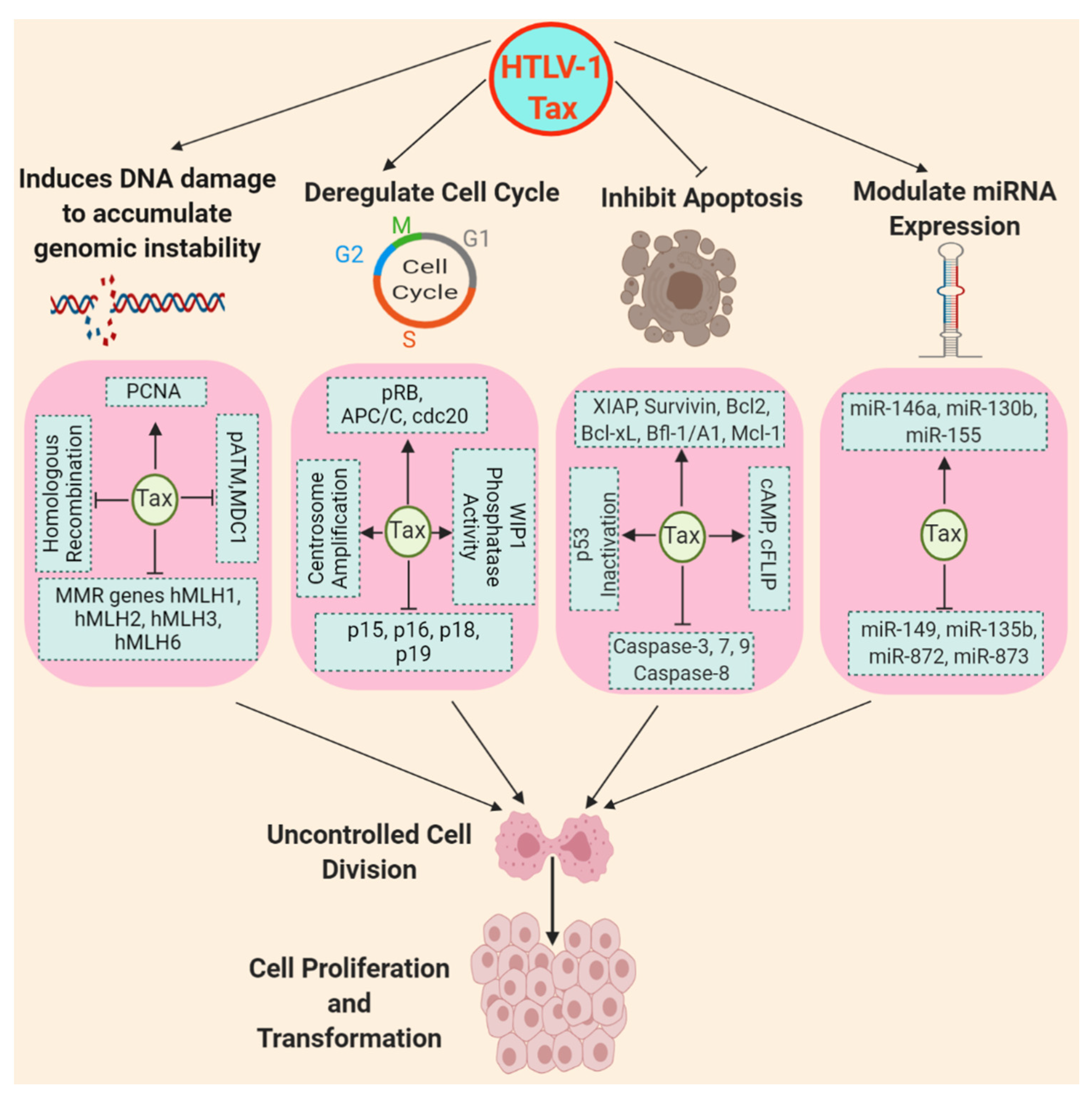 Pathogens 09 00543 g002 Pathogens 09 00543 g002