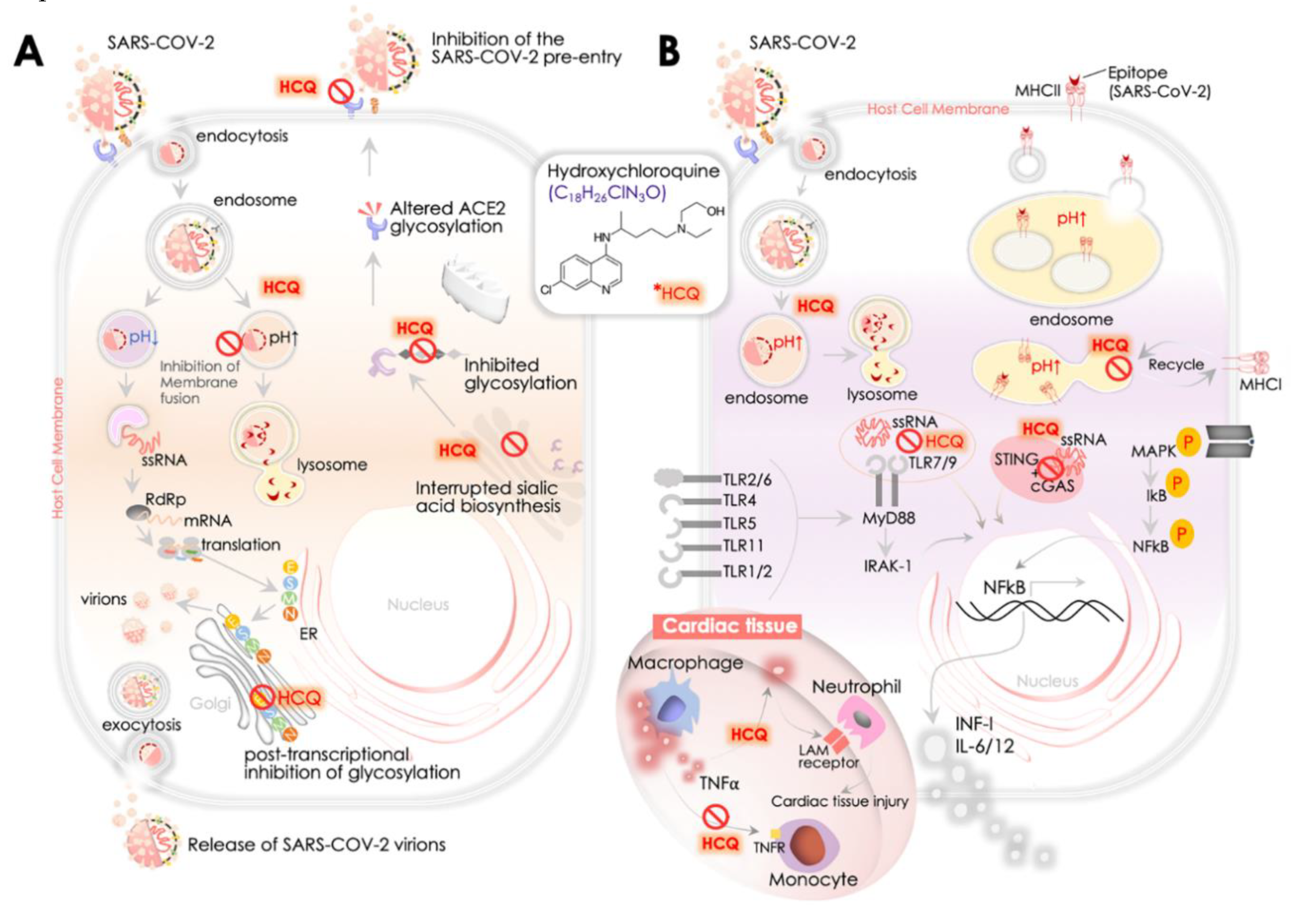 Pathogens 09 00546 g003 Pathogens 09 00546 g003