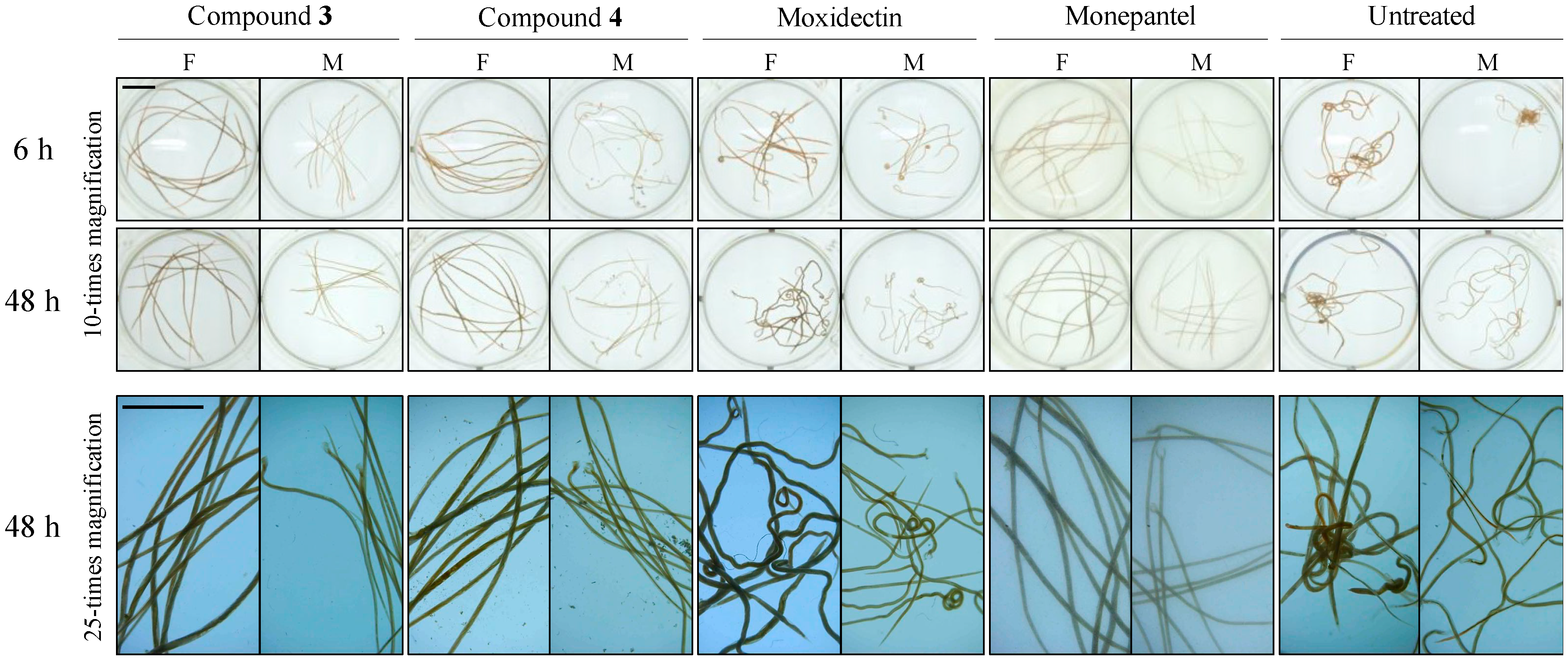 Pathogens 09 00550 g005 Pathogens 09 00550 g005