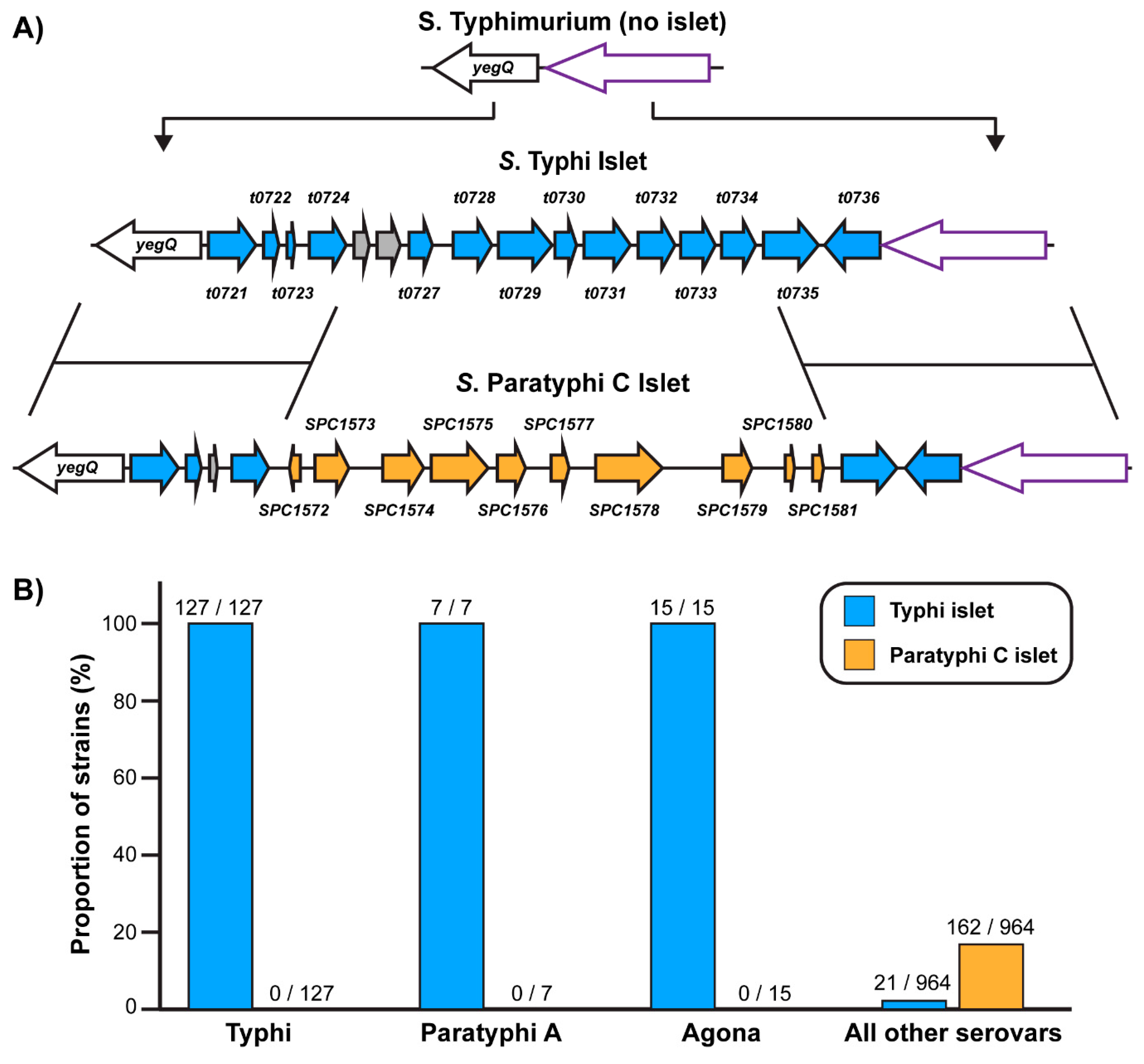 Pathogens 09 00559 g001 Pathogens 09 00559 g001