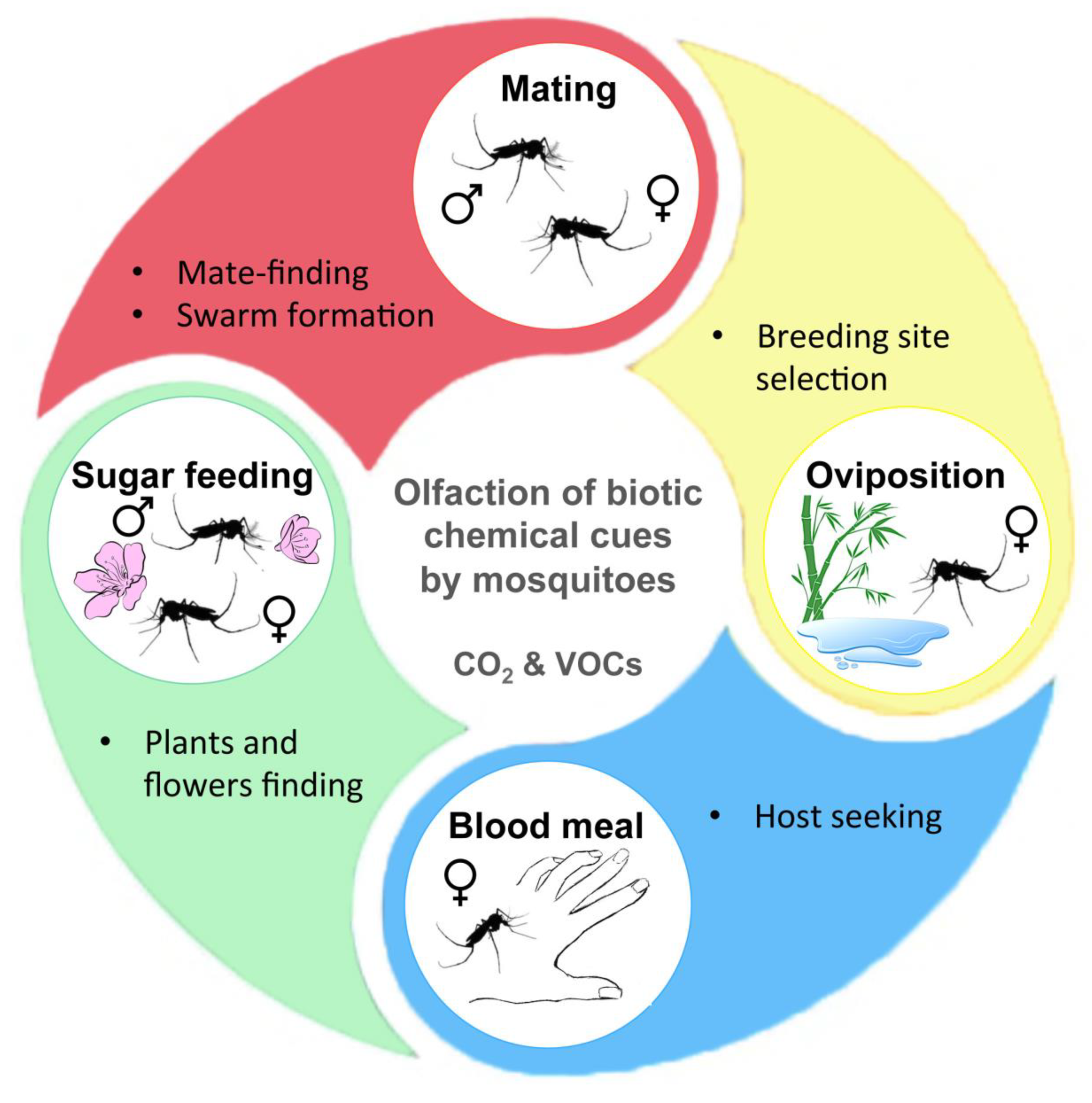 Pathogens 09 00564 g003 Pathogens 09 00564 g003