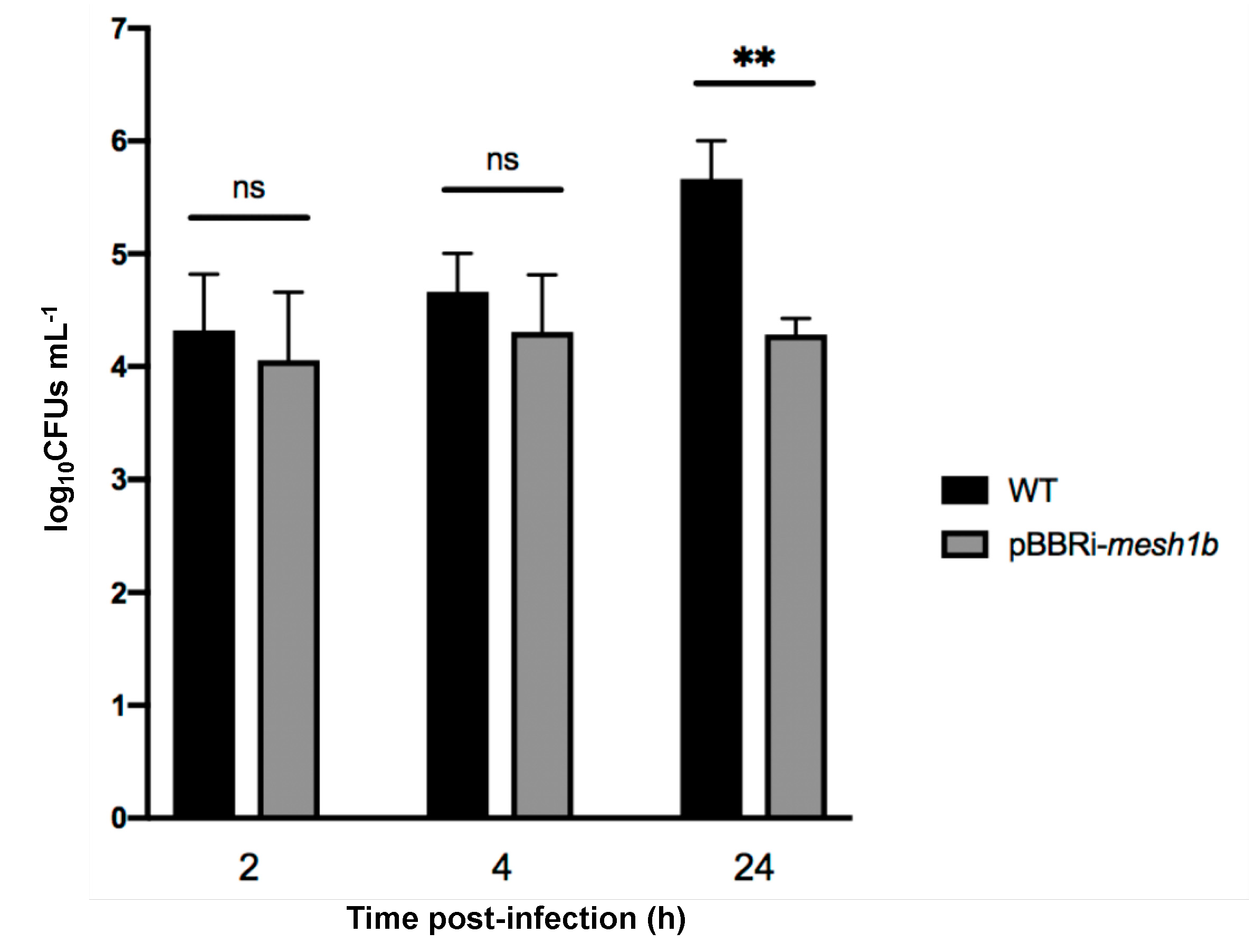 Pathogens 09 00571 g004