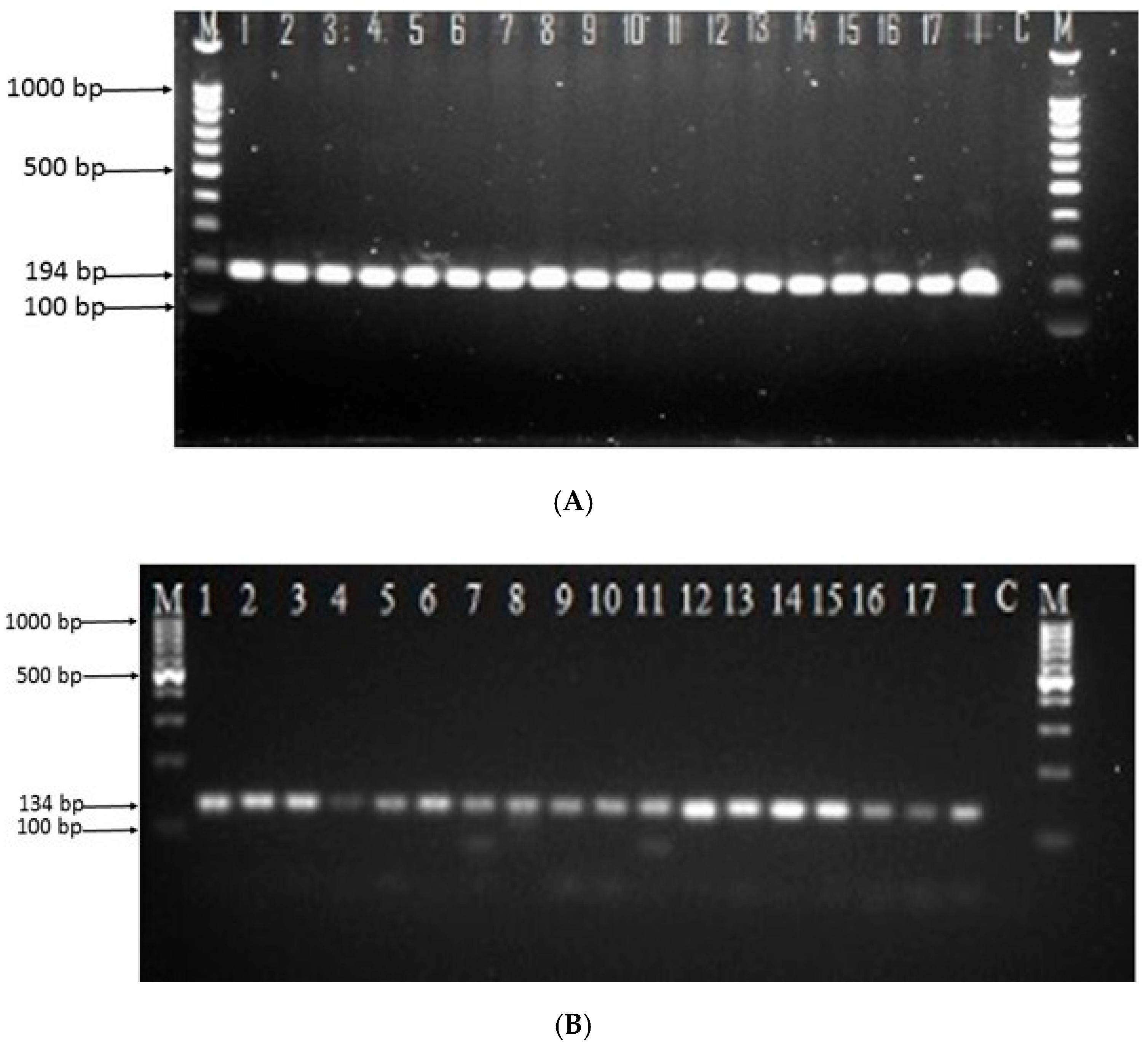 Pathogens 09 00576 g002 Pathogens 09 00576 g002