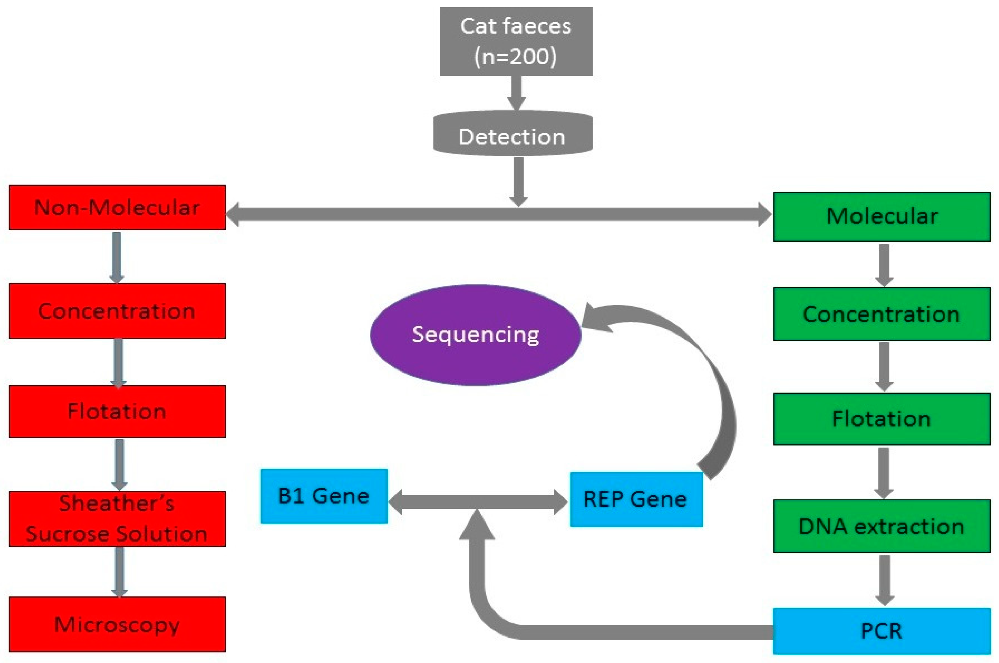 Pathogens 09 00576 g005 Pathogens 09 00576 g005