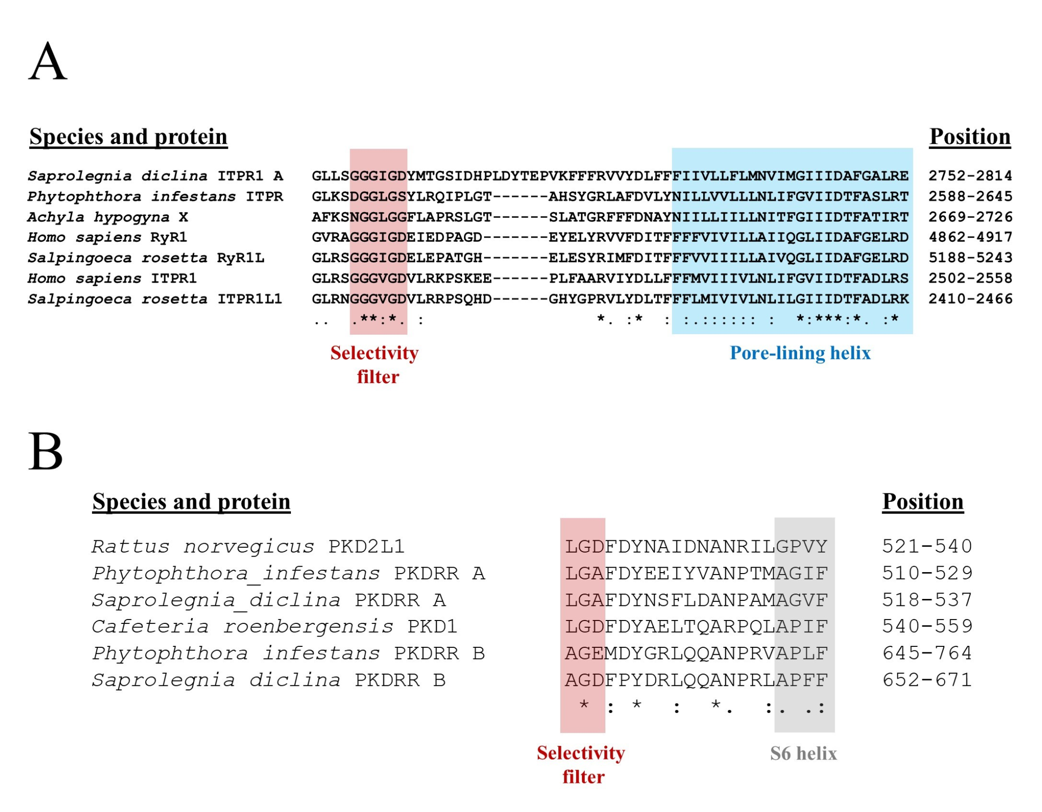Pathogens 09 00577 g003