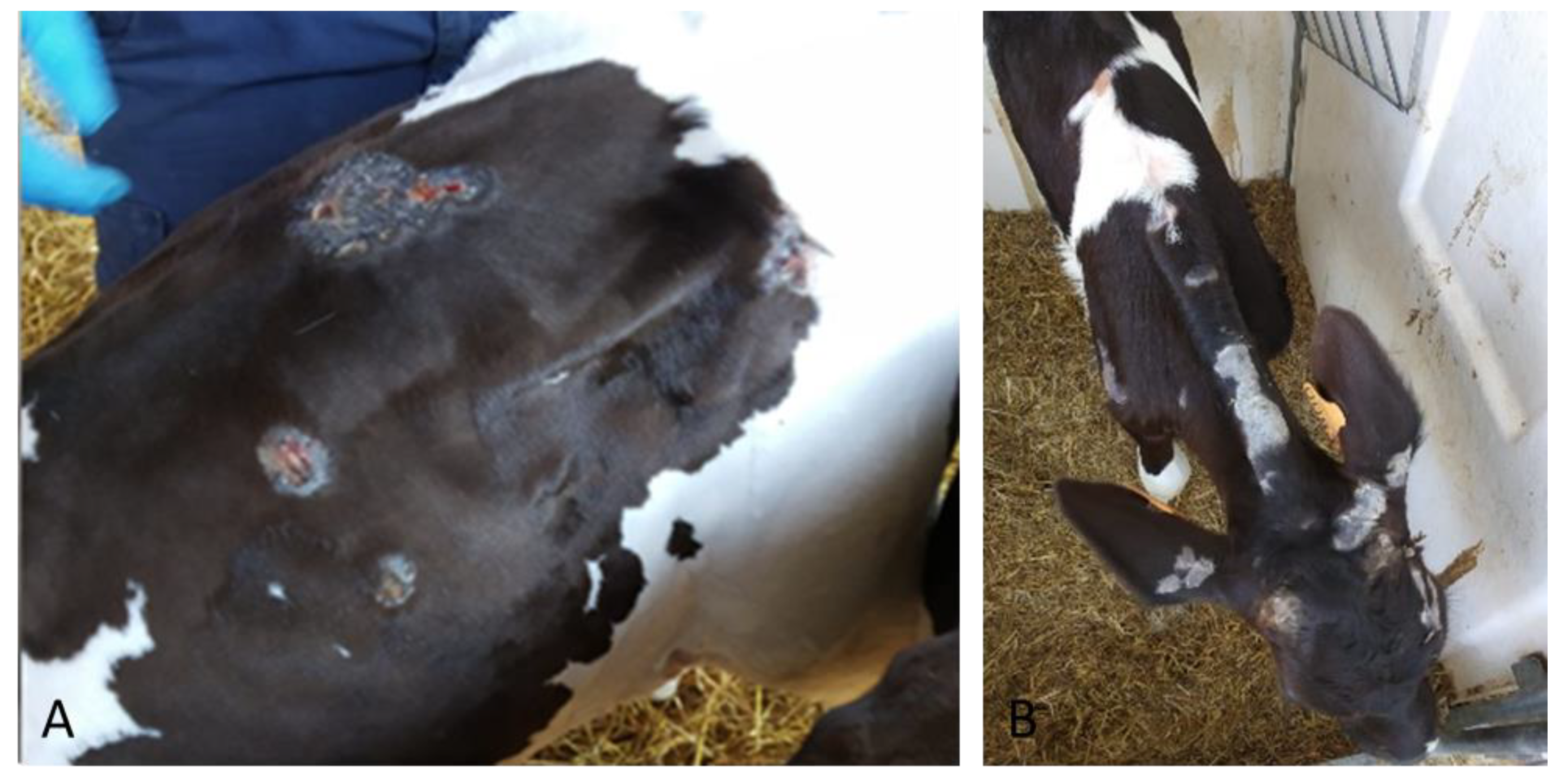 Pathogens 09 00583 g002 Pathogens 09 00583 g002