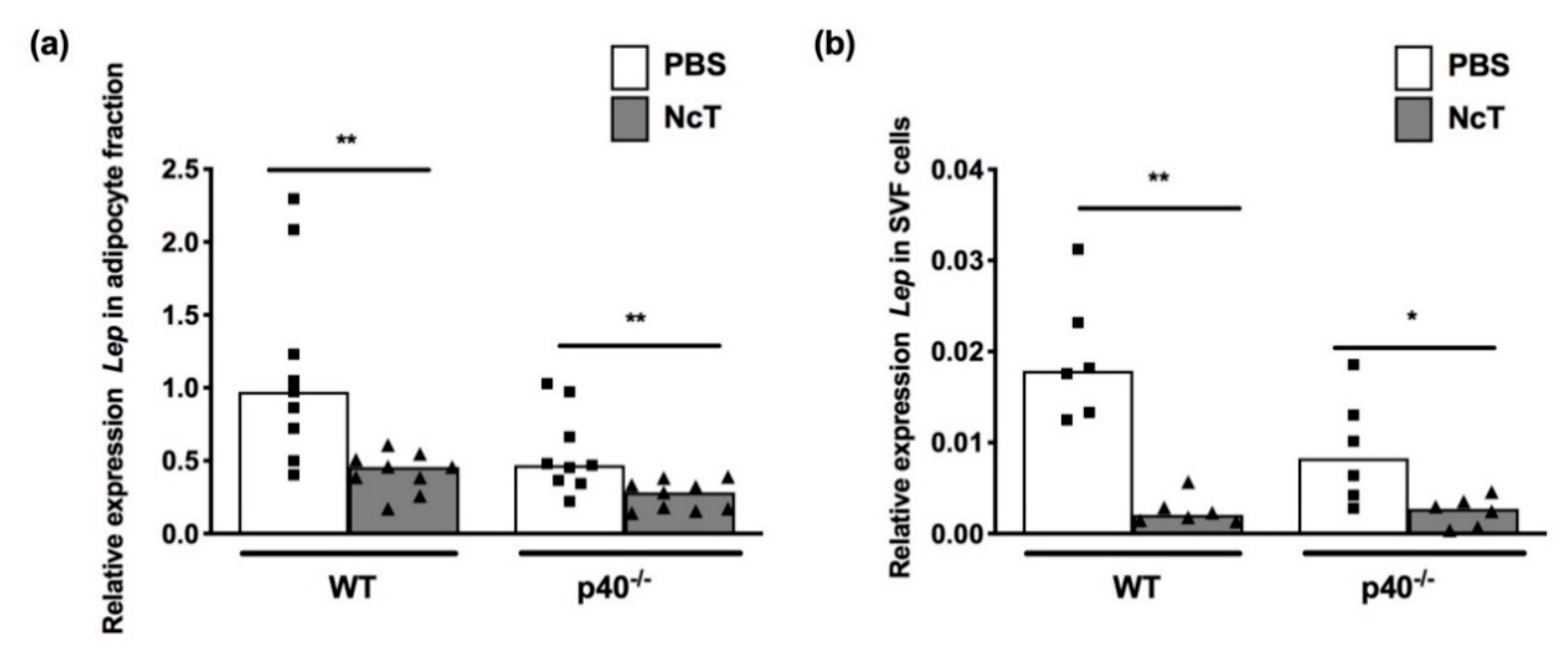 Pathogens 09 00587 g002