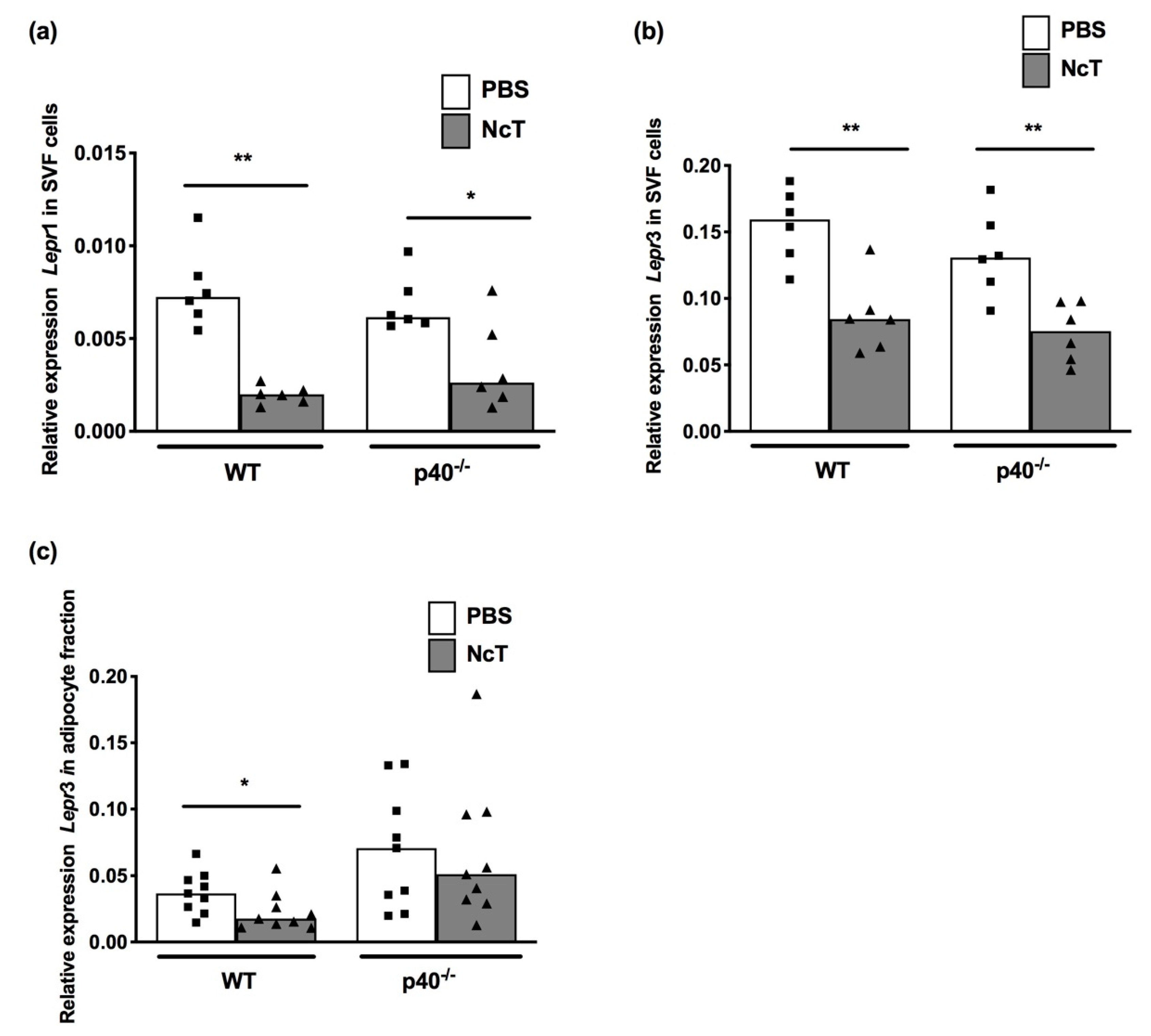 Pathogens 09 00587 g003