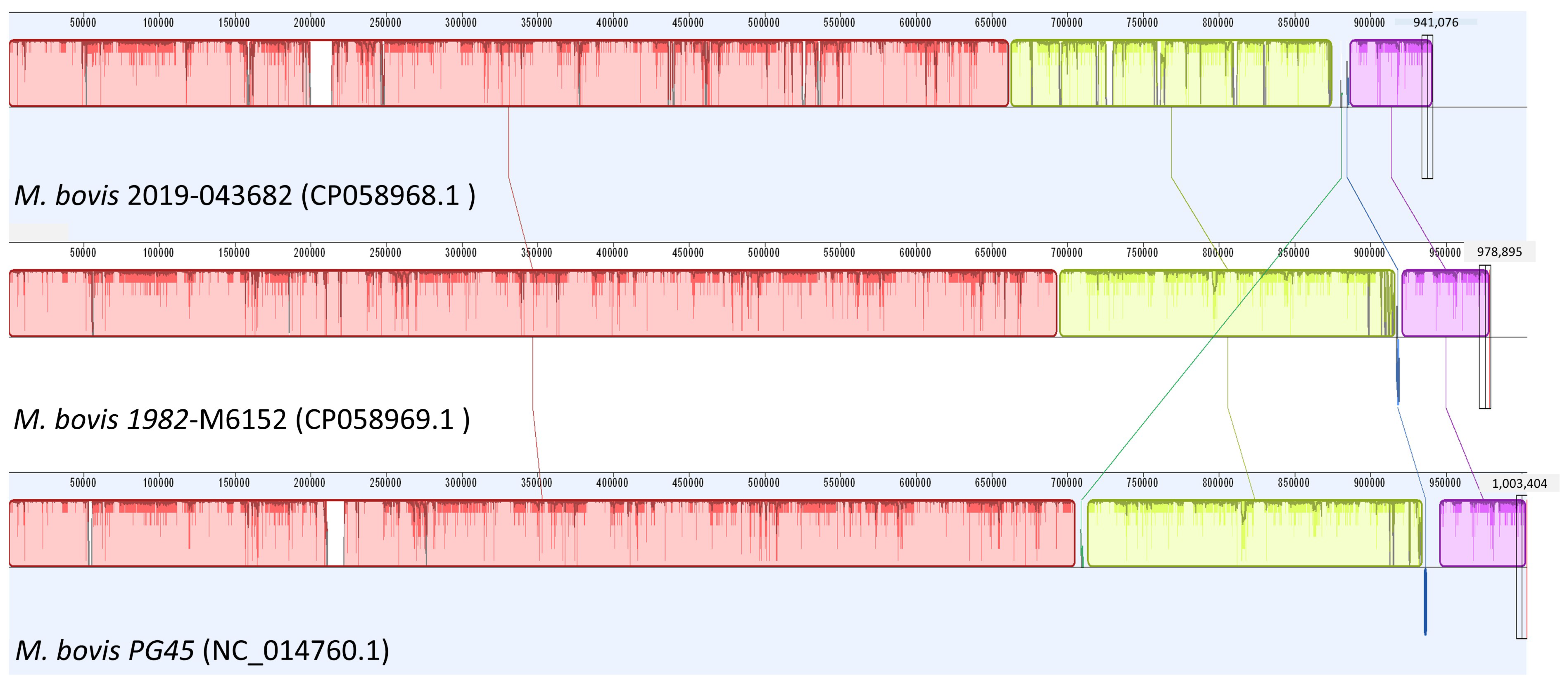 Pathogens 09 00588 g001 Pathogens 09 00588 g001