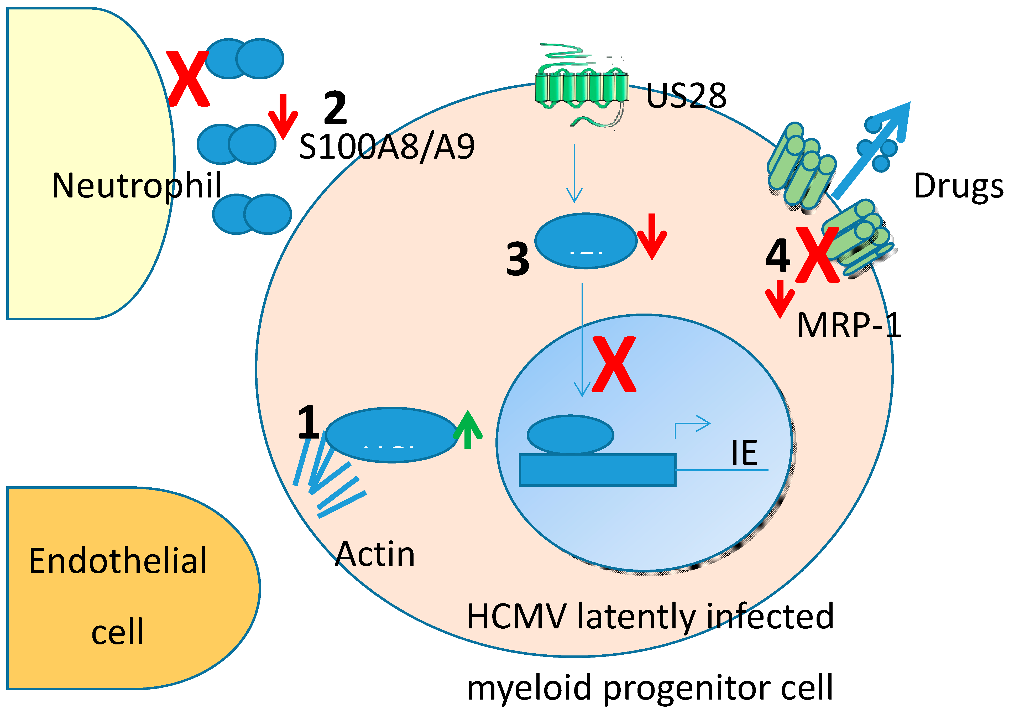 Pathogens 09 00590 g001