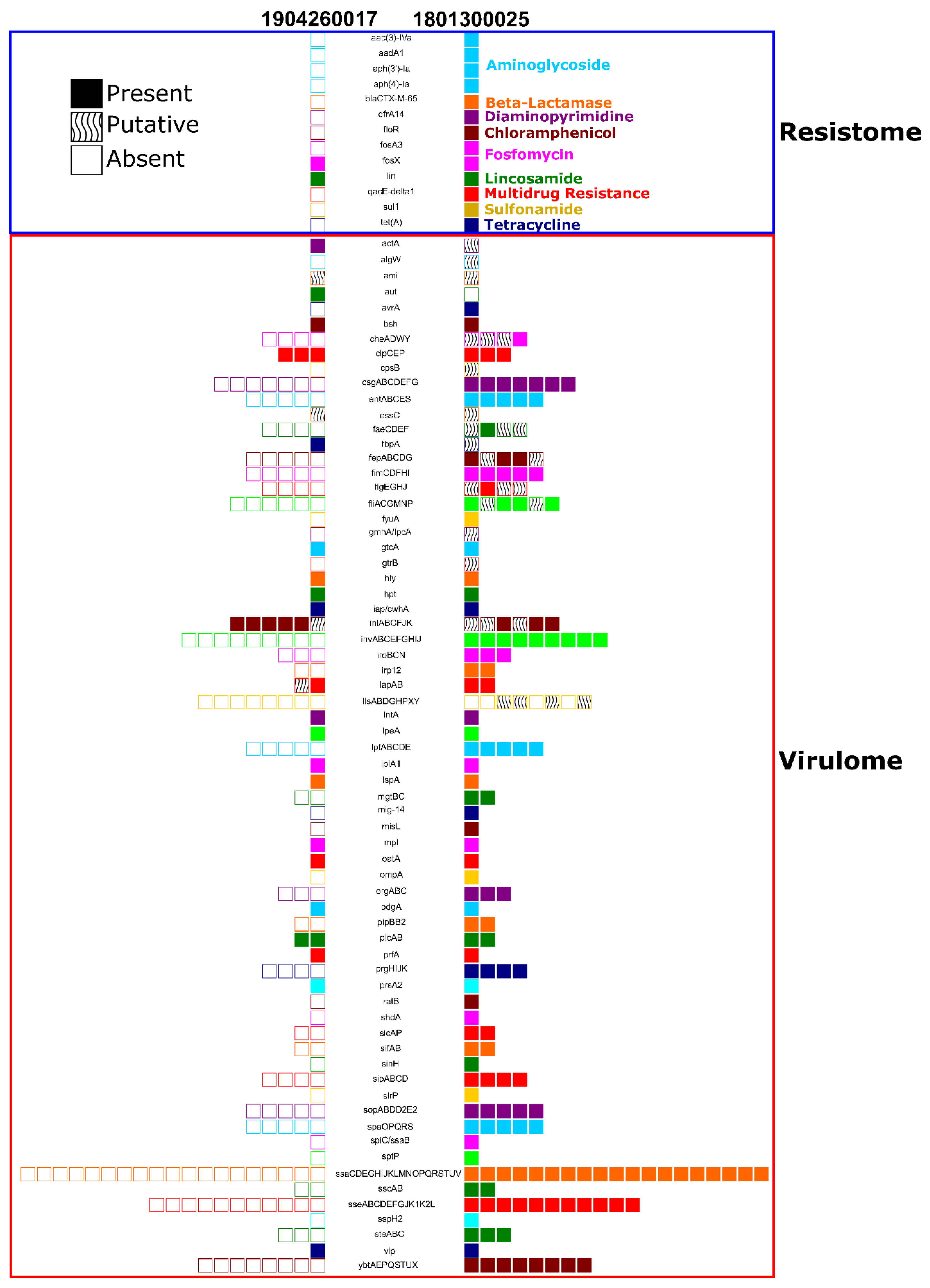 Pathogens 09 00591 g004 Pathogens 09 00591 g004