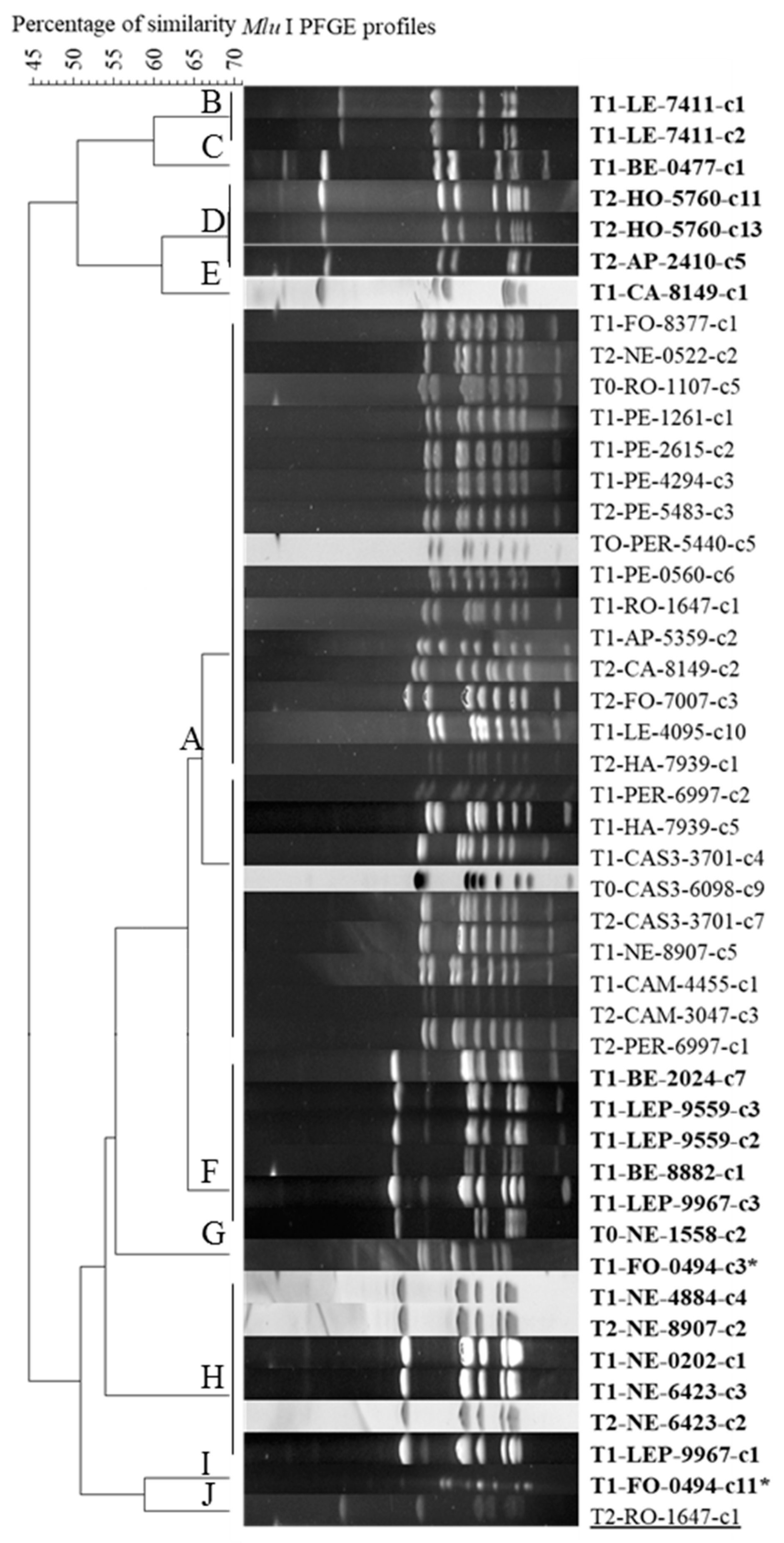 Pathogens 09 00593 g004 Pathogens 09 00593 g004