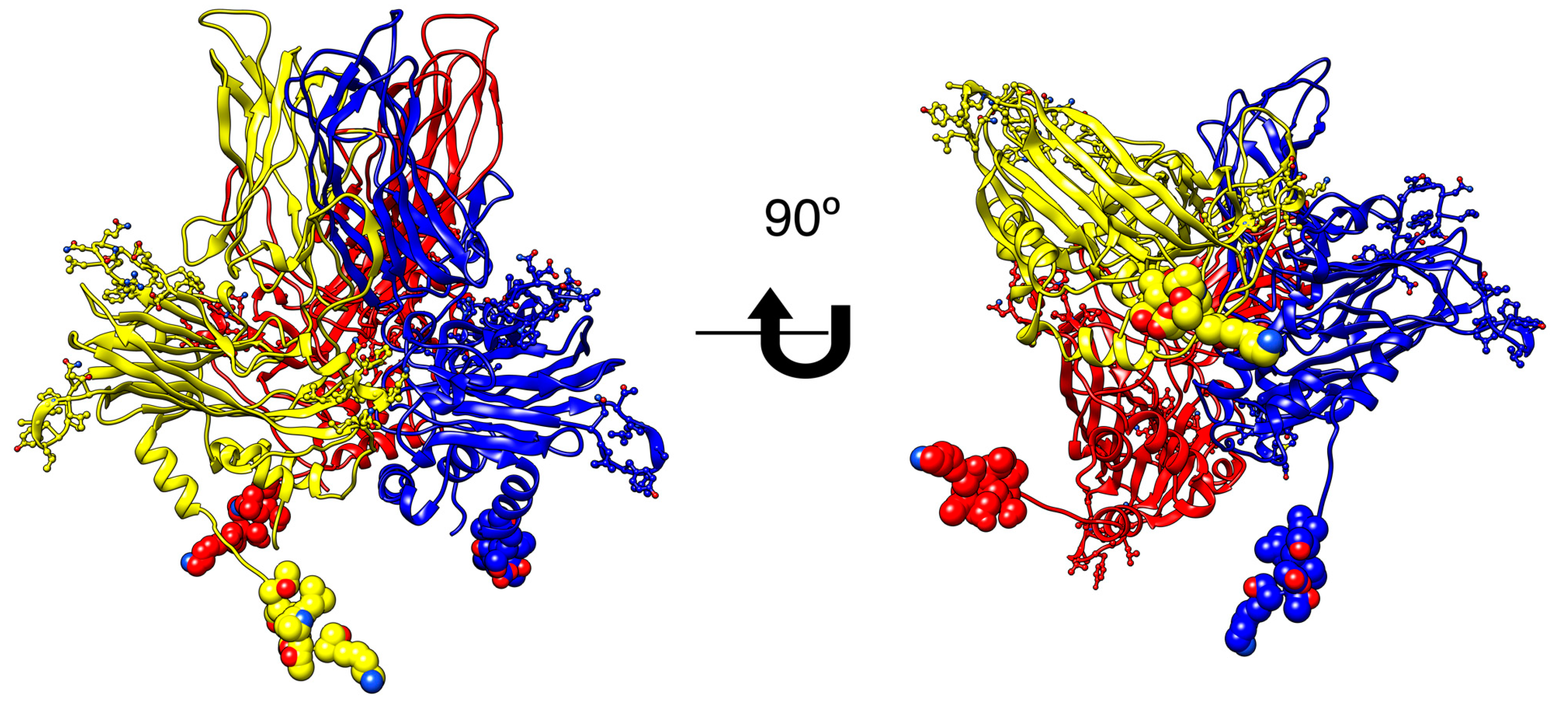 Pathogens 09 00600 g001