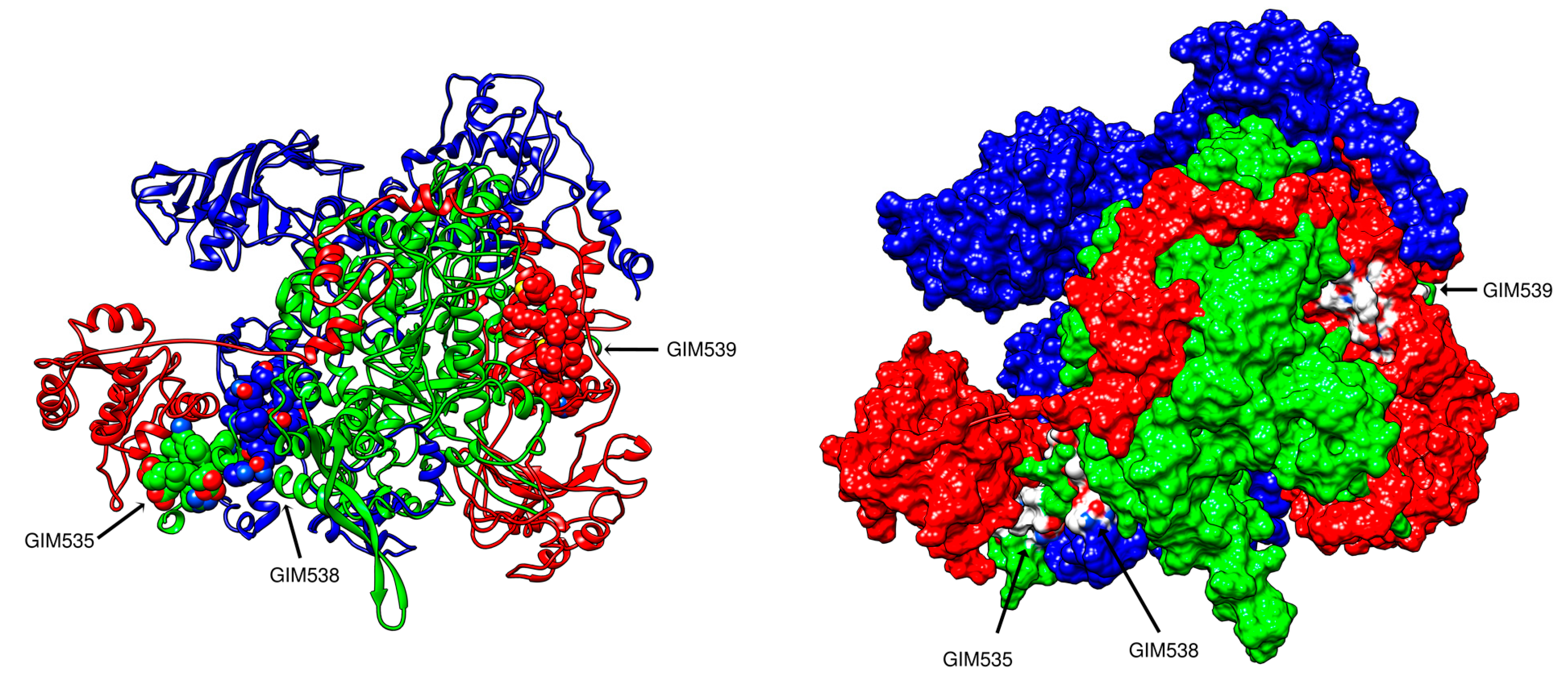 Pathogens 09 00600 g007