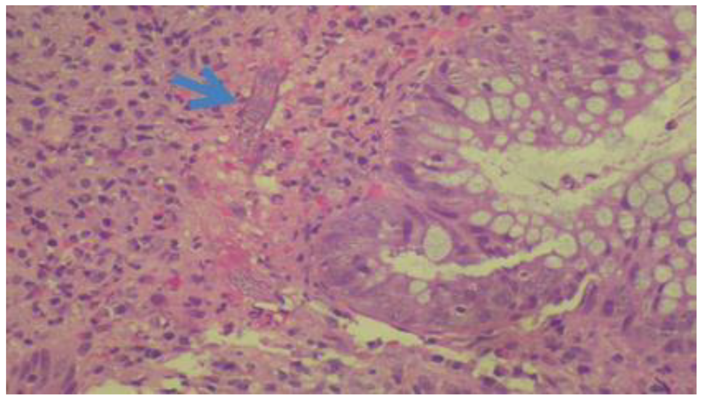 Pathogens 09 00601 g003 Pathogens 09 00601 g003