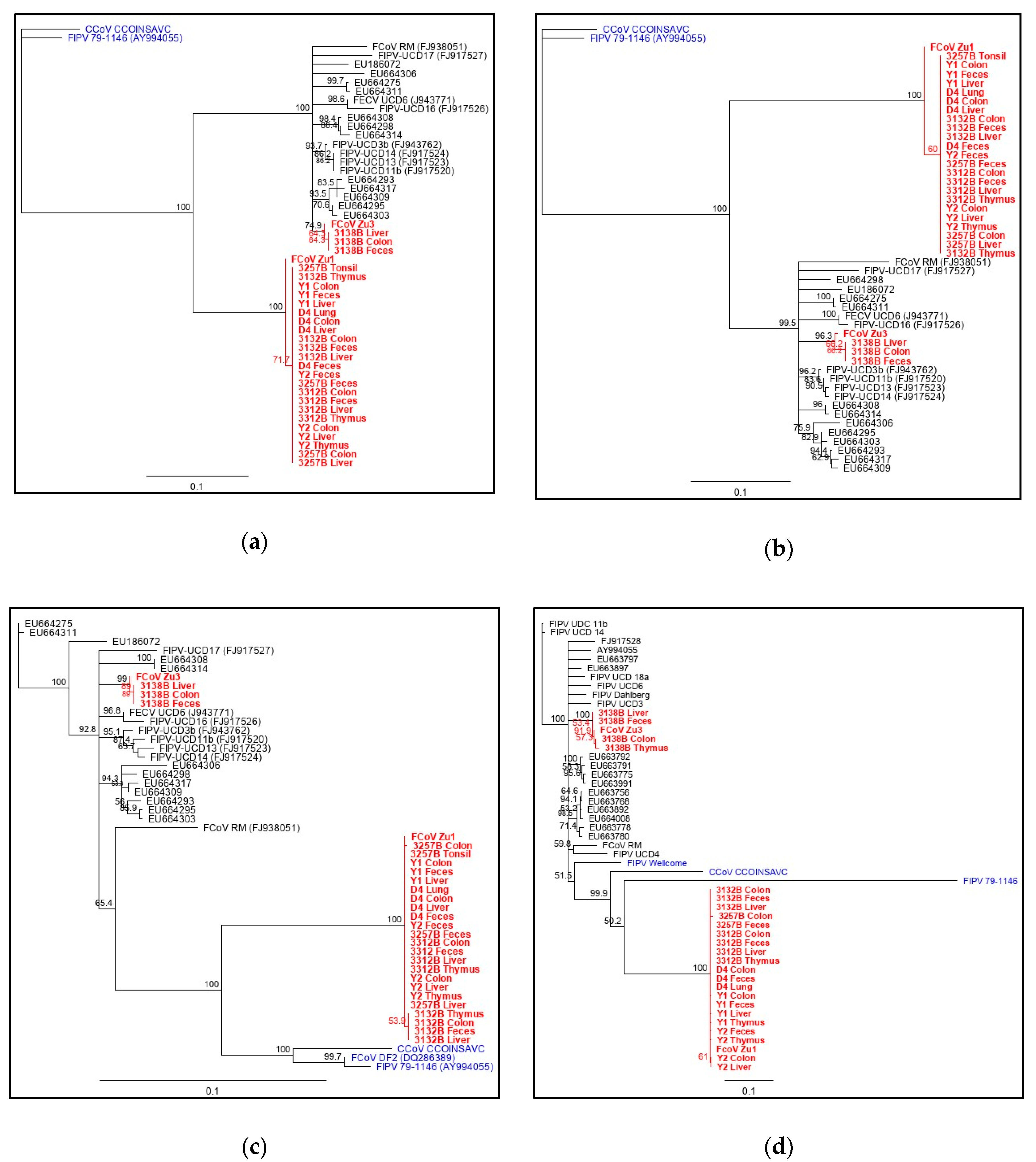 Pathogens 09 00603 g004