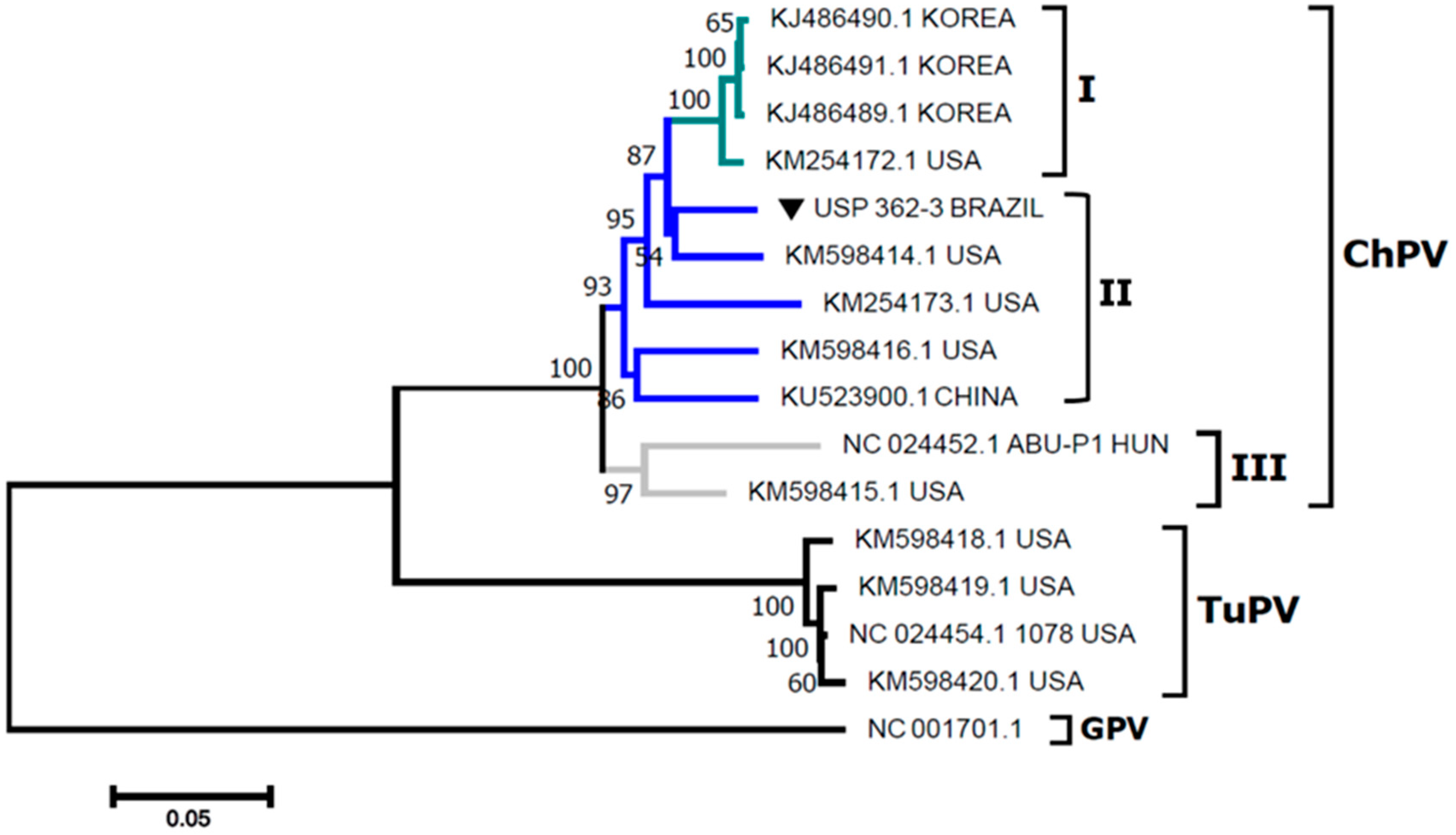 Pathogens 09 00606 g001