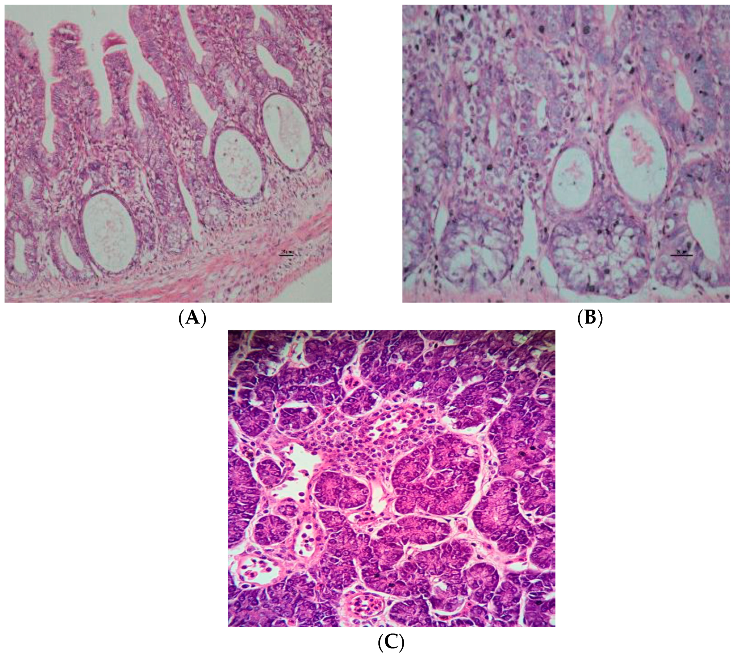 Pathogens 09 00606 g004