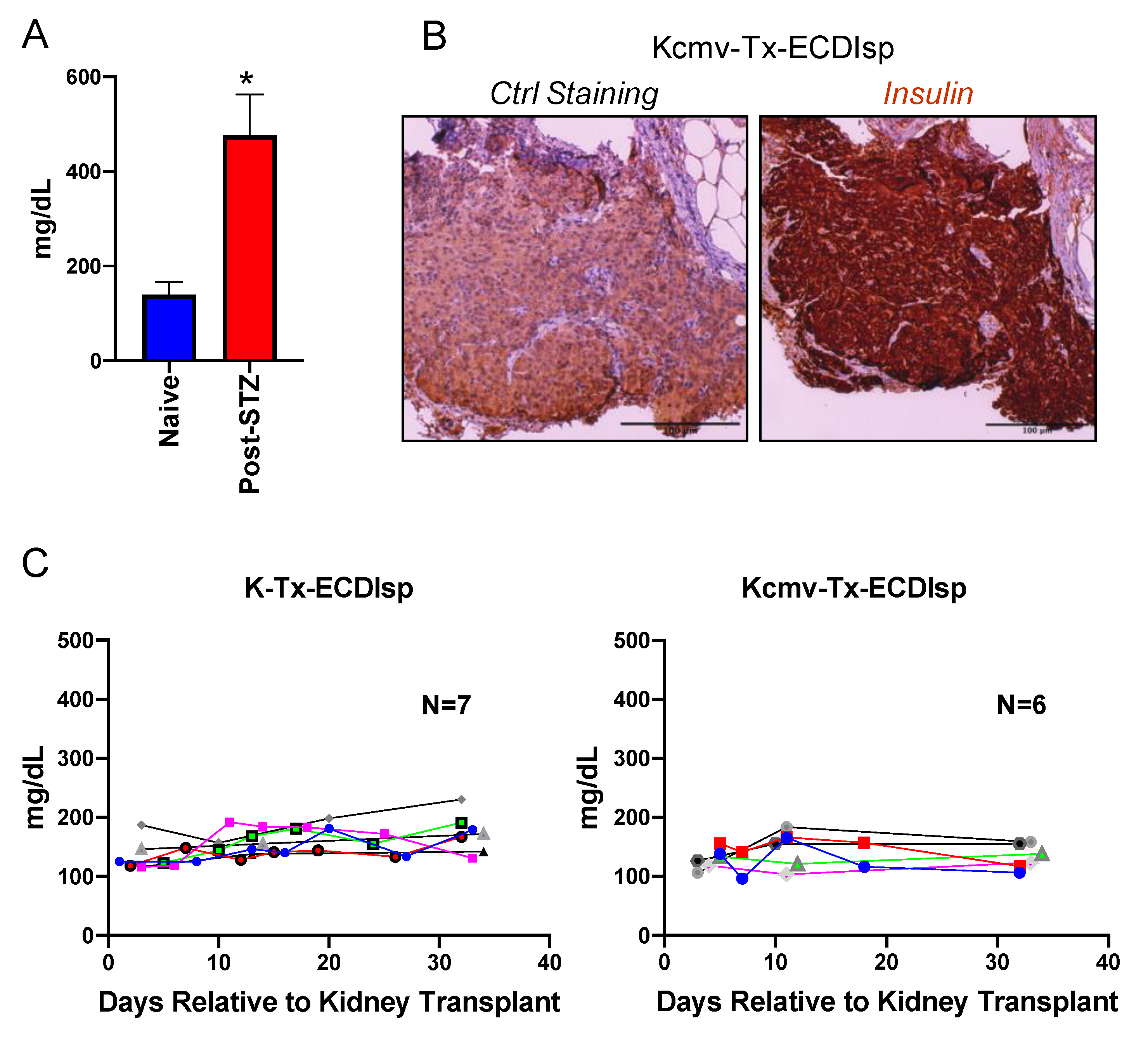 Pathogens 09 00607 g002