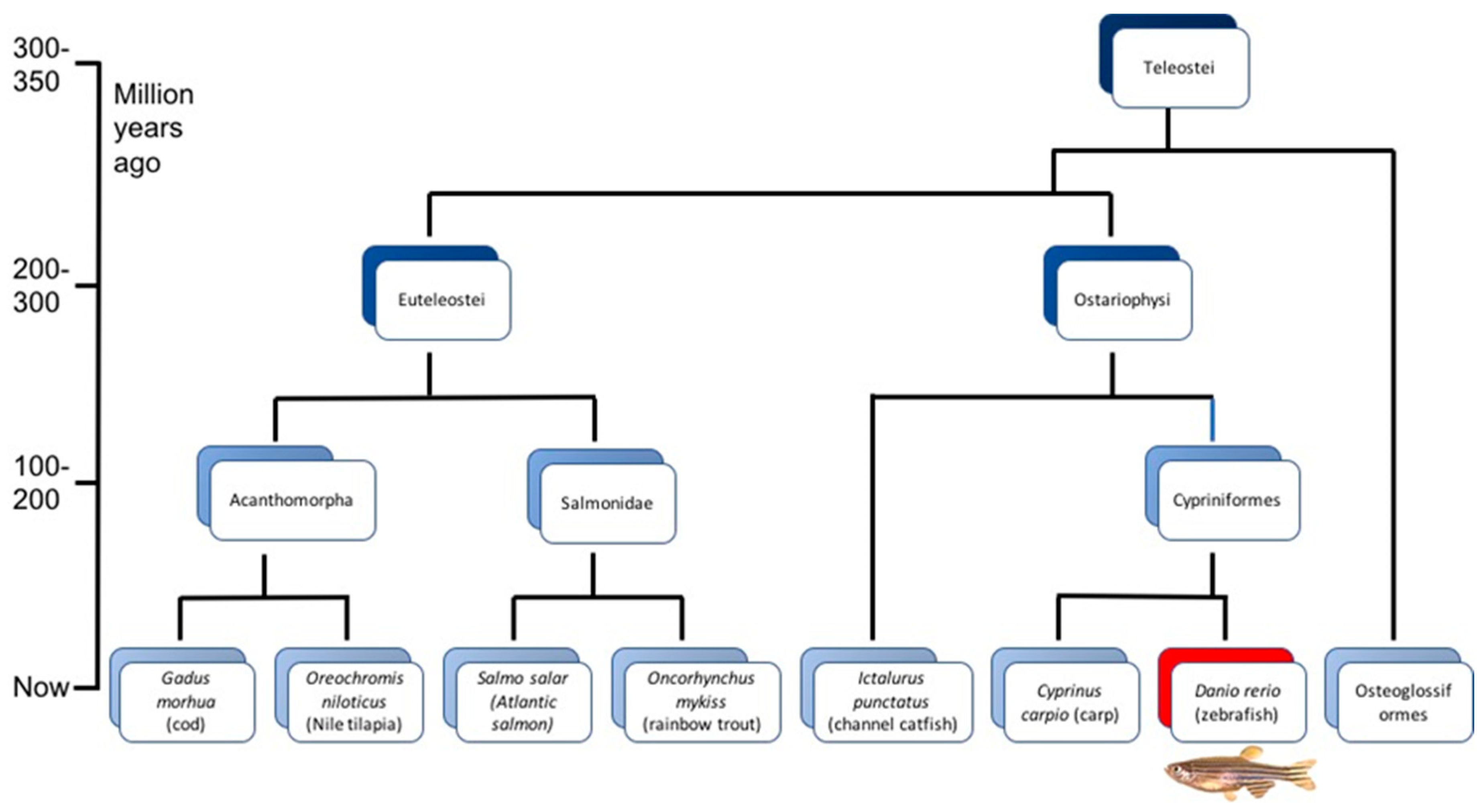 Pathogens 09 00609 g001 Pathogens 09 00609 g001