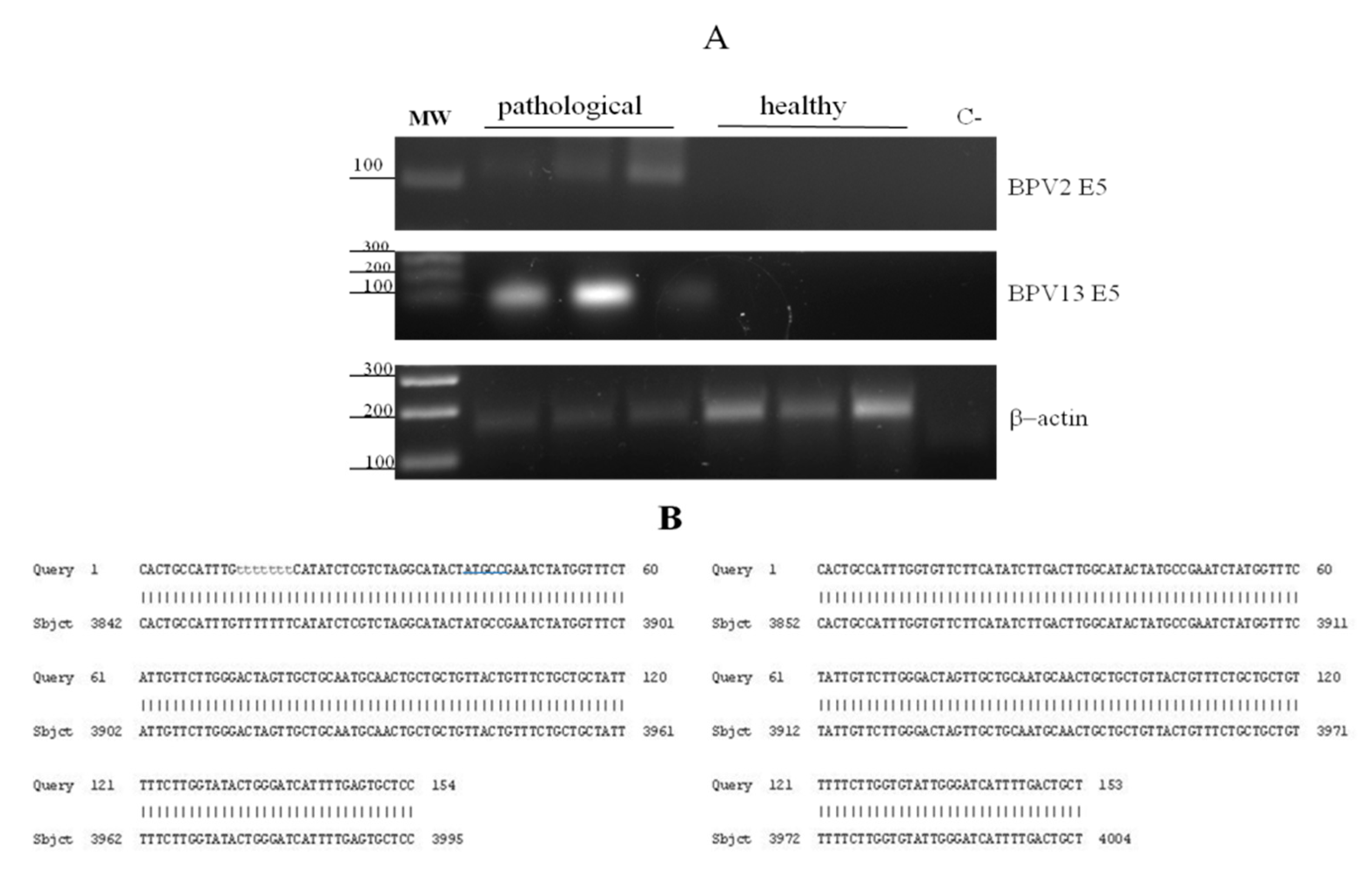 Pathogens 09 00621 g001 Pathogens 09 00621 g001