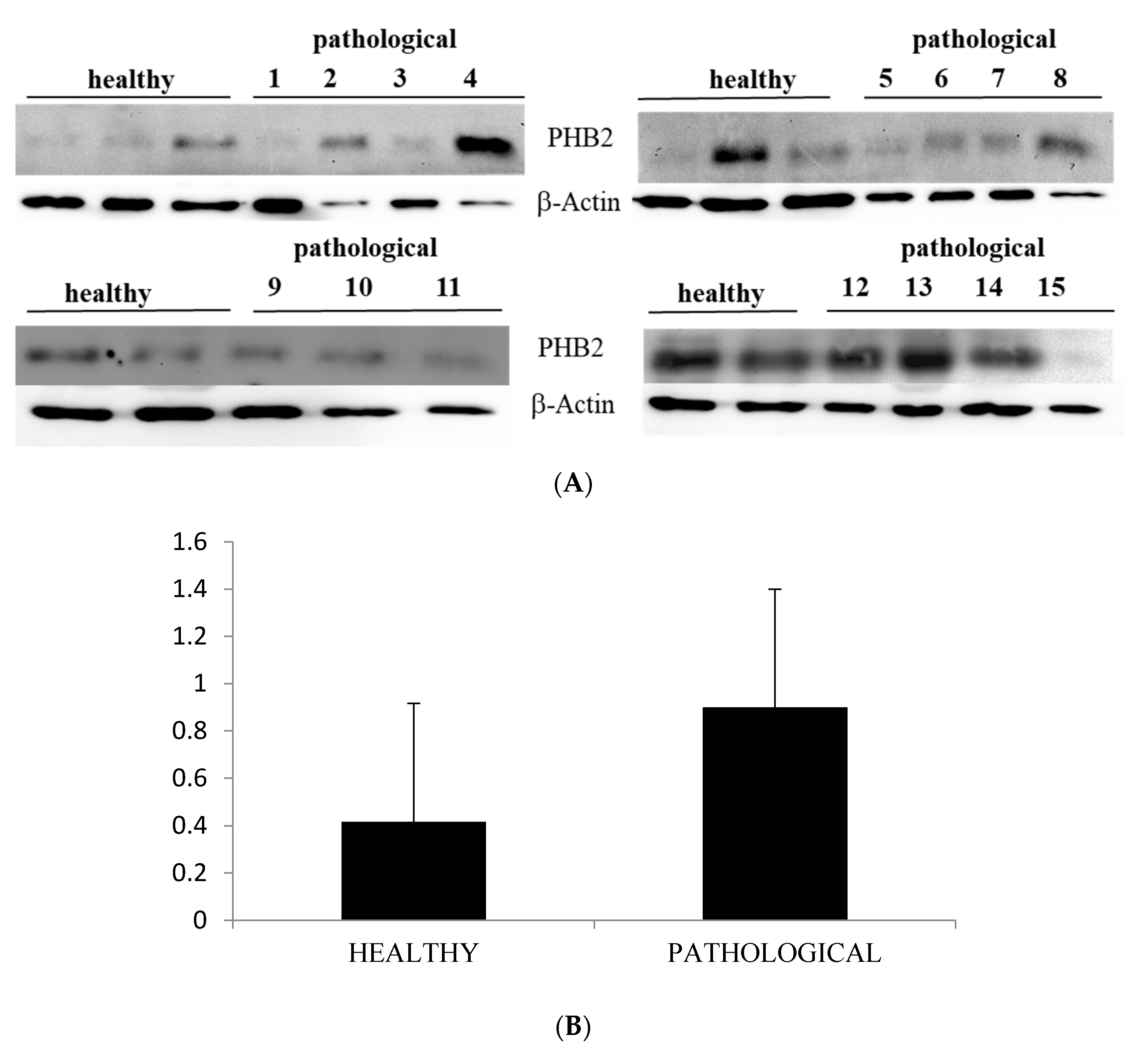 Pathogens 09 00621 g006 Pathogens 09 00621 g006