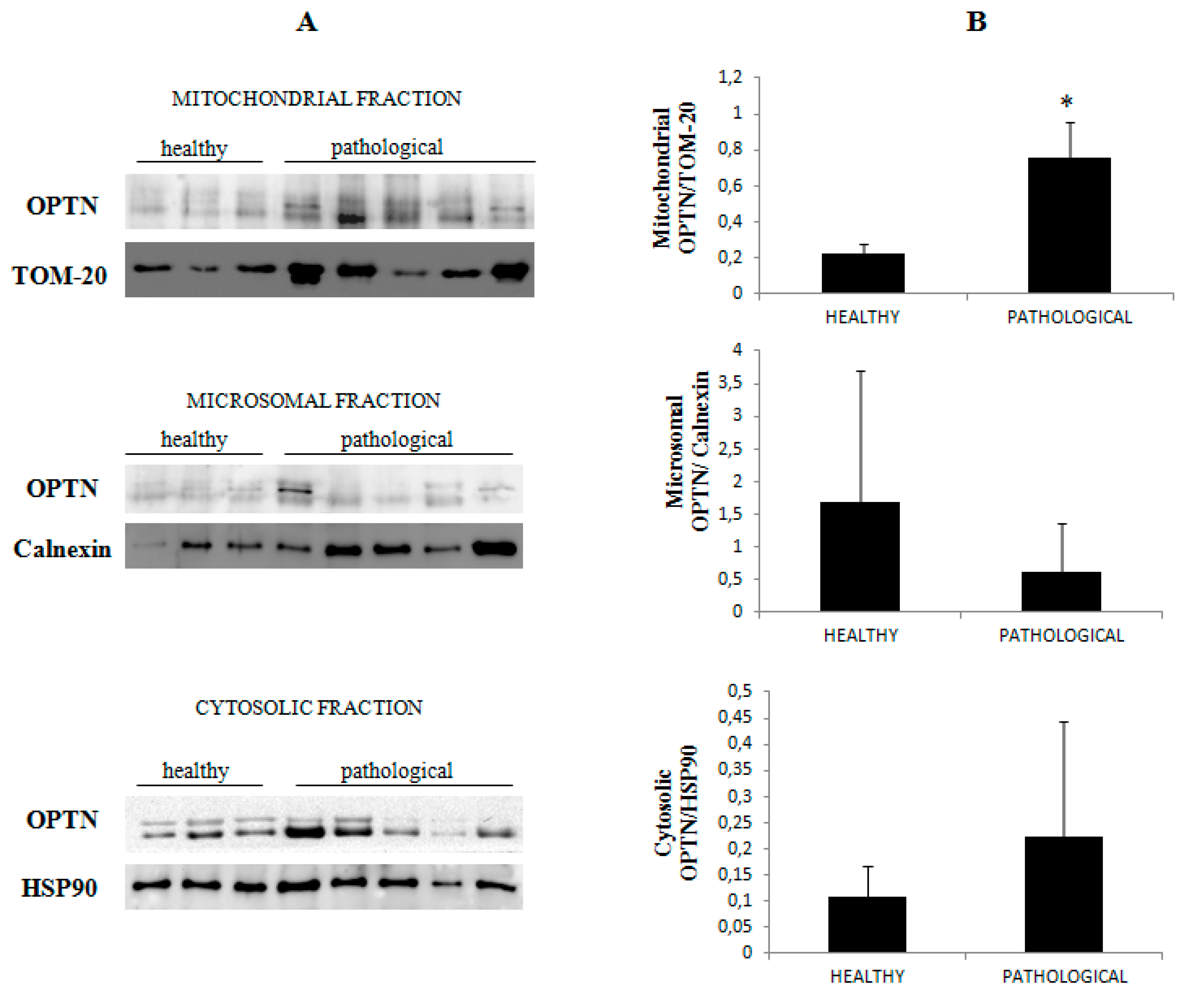 Pathogens 09 00621 g010 Pathogens 09 00621 g010