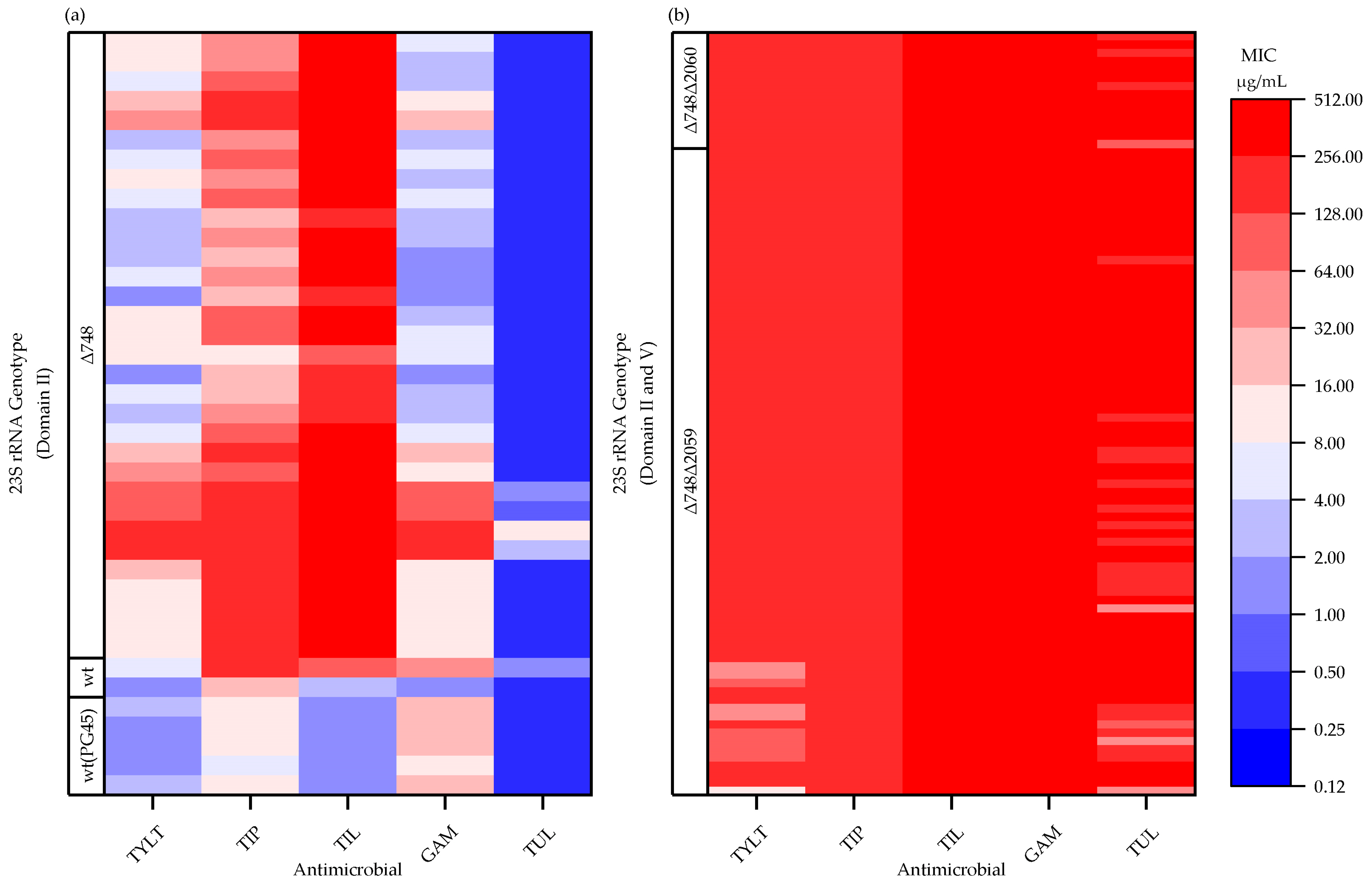 Pathogens Free Full Text Investigation Of Macrolide Resistance Genotypes In Mycoplasma Bovis Isolates From Canadian Feedlot Cattle Html