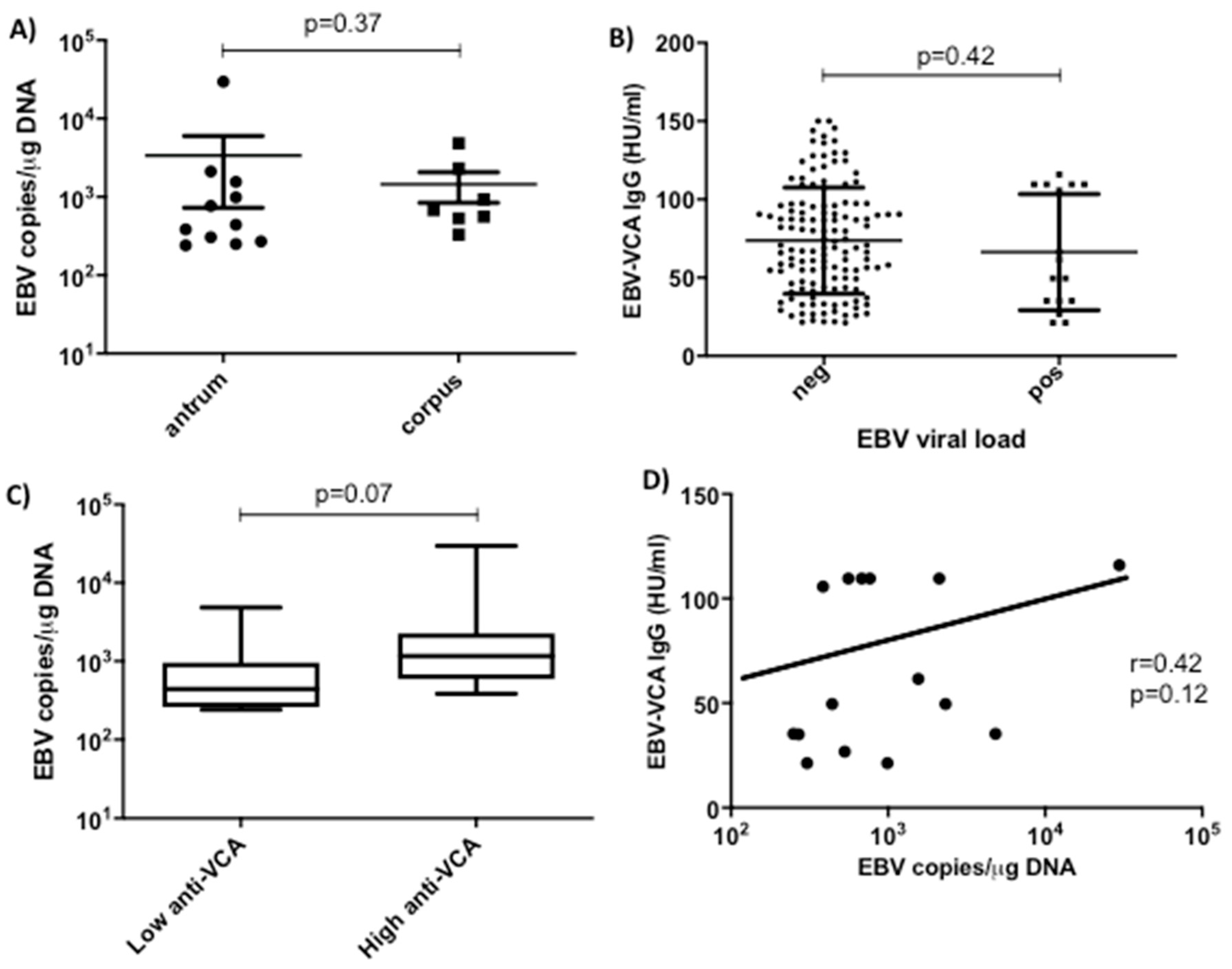 ebv antibody profile