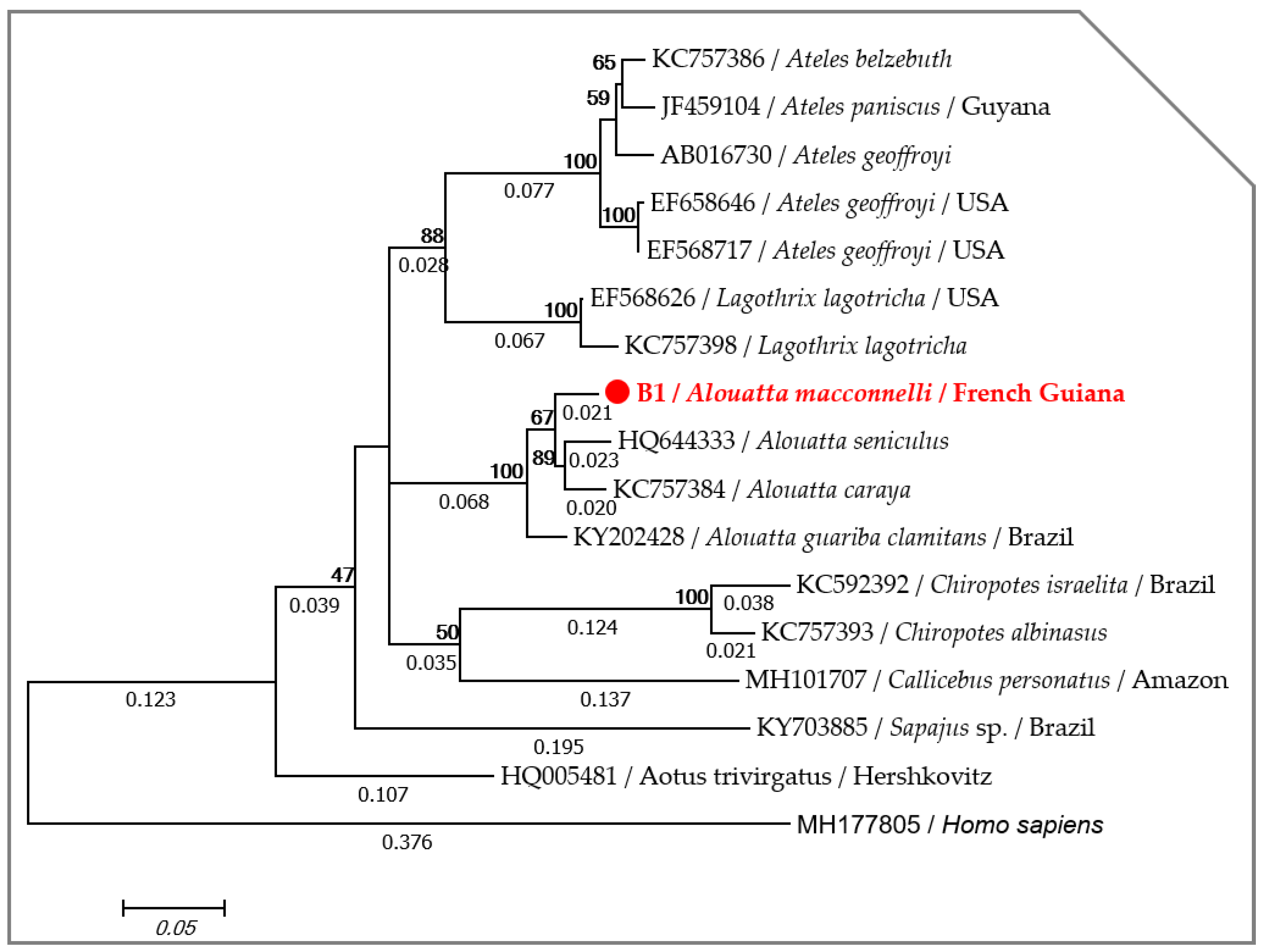 Pathogens 09 00626 g001 Pathogens 09 00626 g001