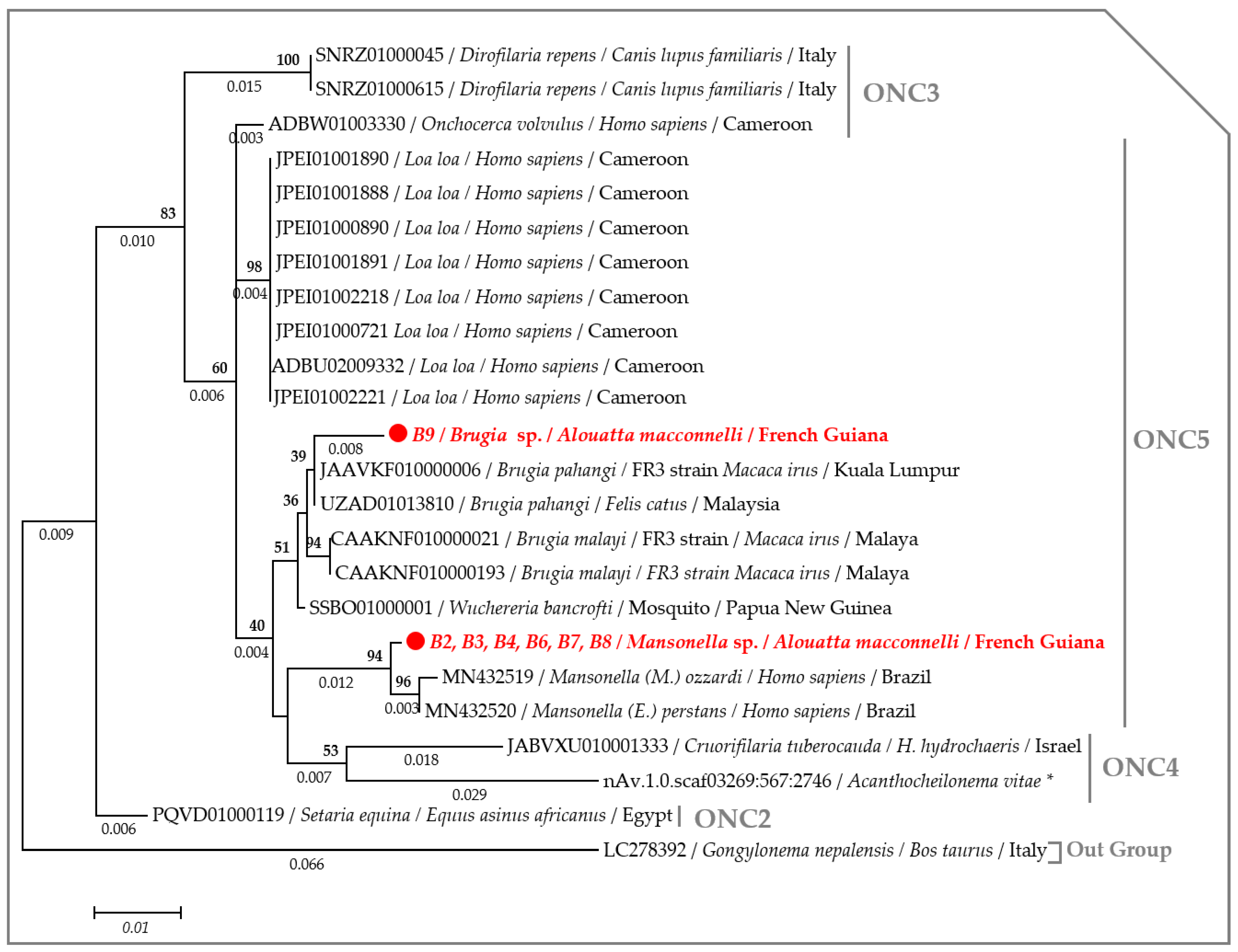 Pathogens 09 00626 g003 Pathogens 09 00626 g003