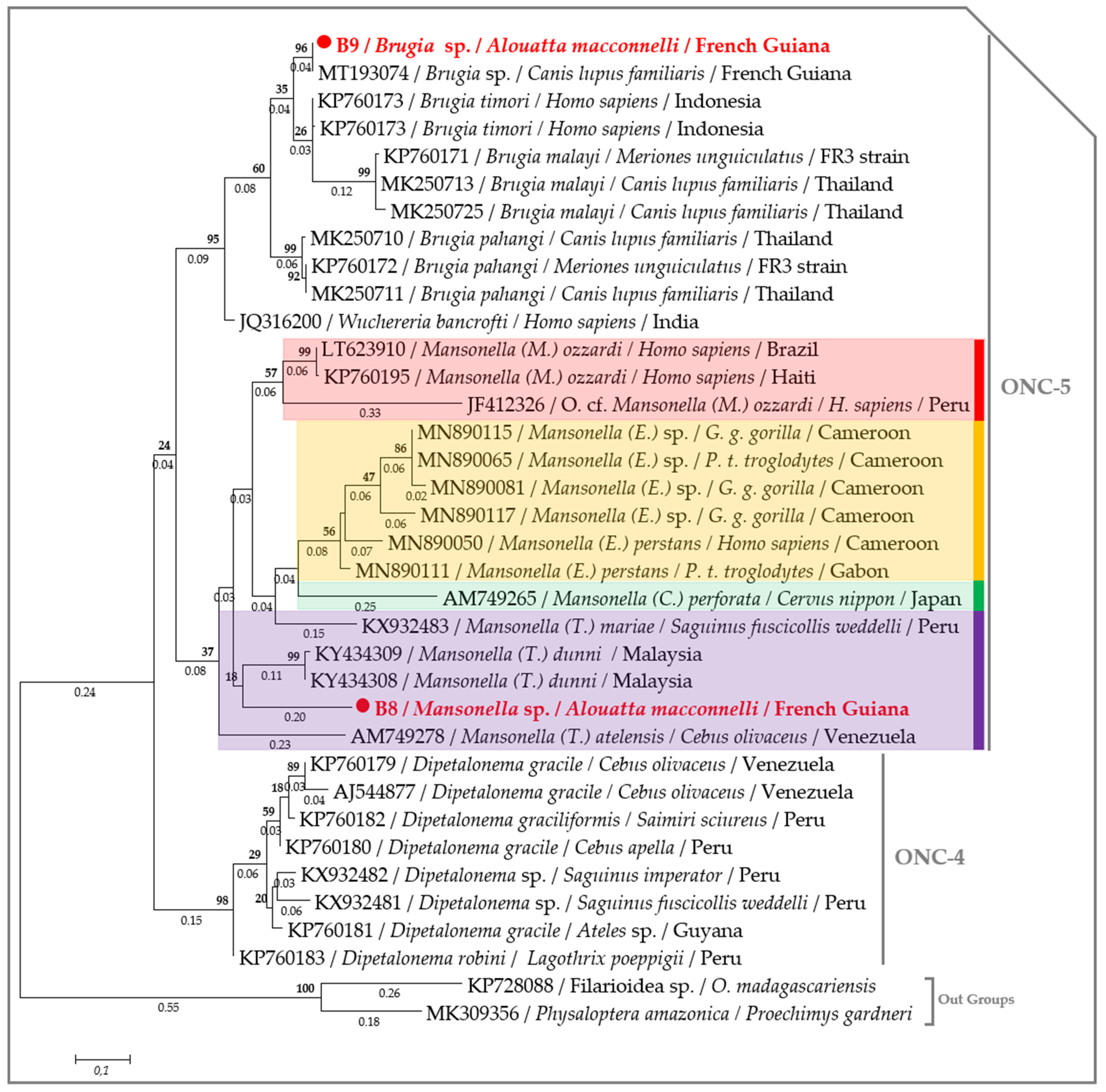 Pathogens 09 00626 g004 Pathogens 09 00626 g004
