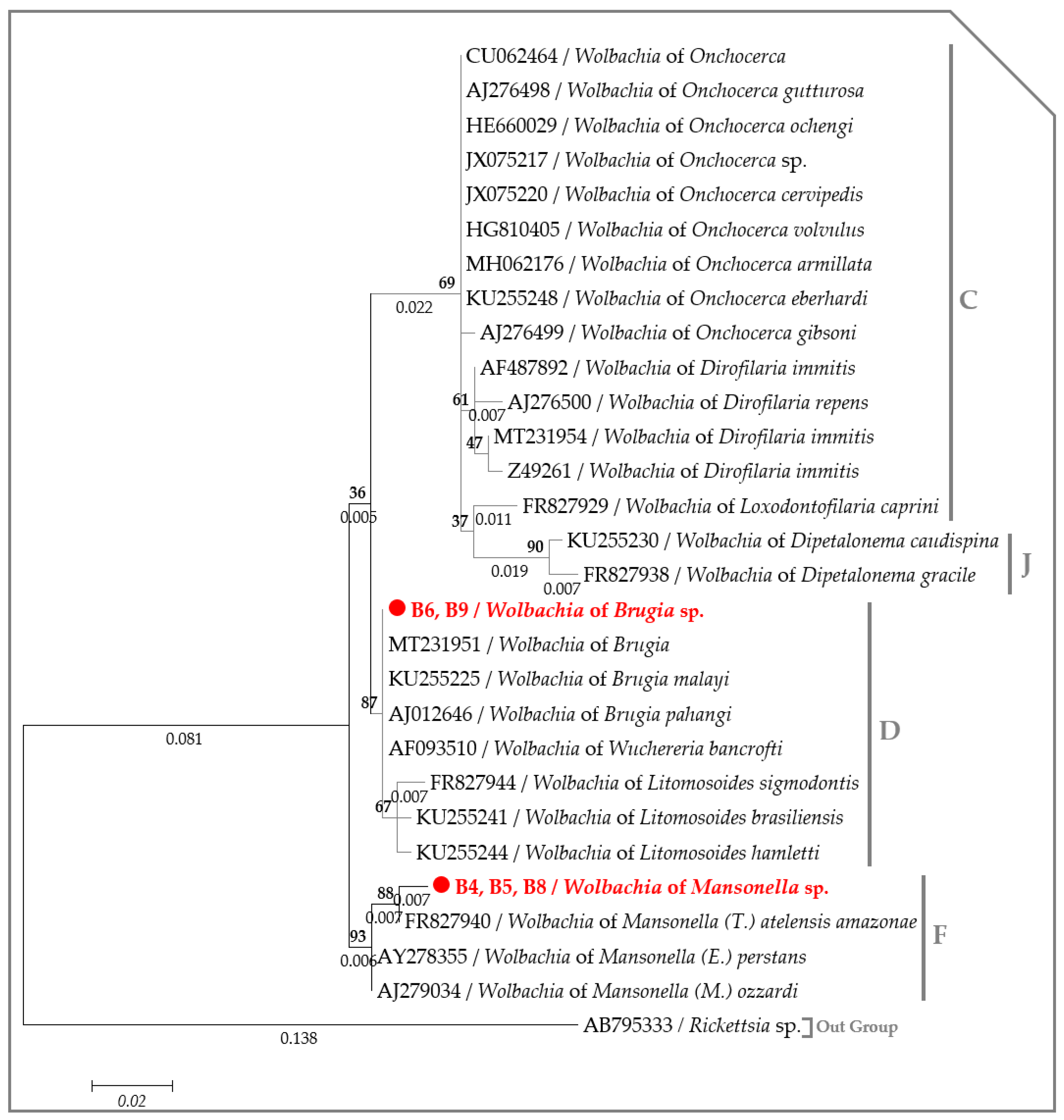 Pathogens 09 00626 g007 Pathogens 09 00626 g007