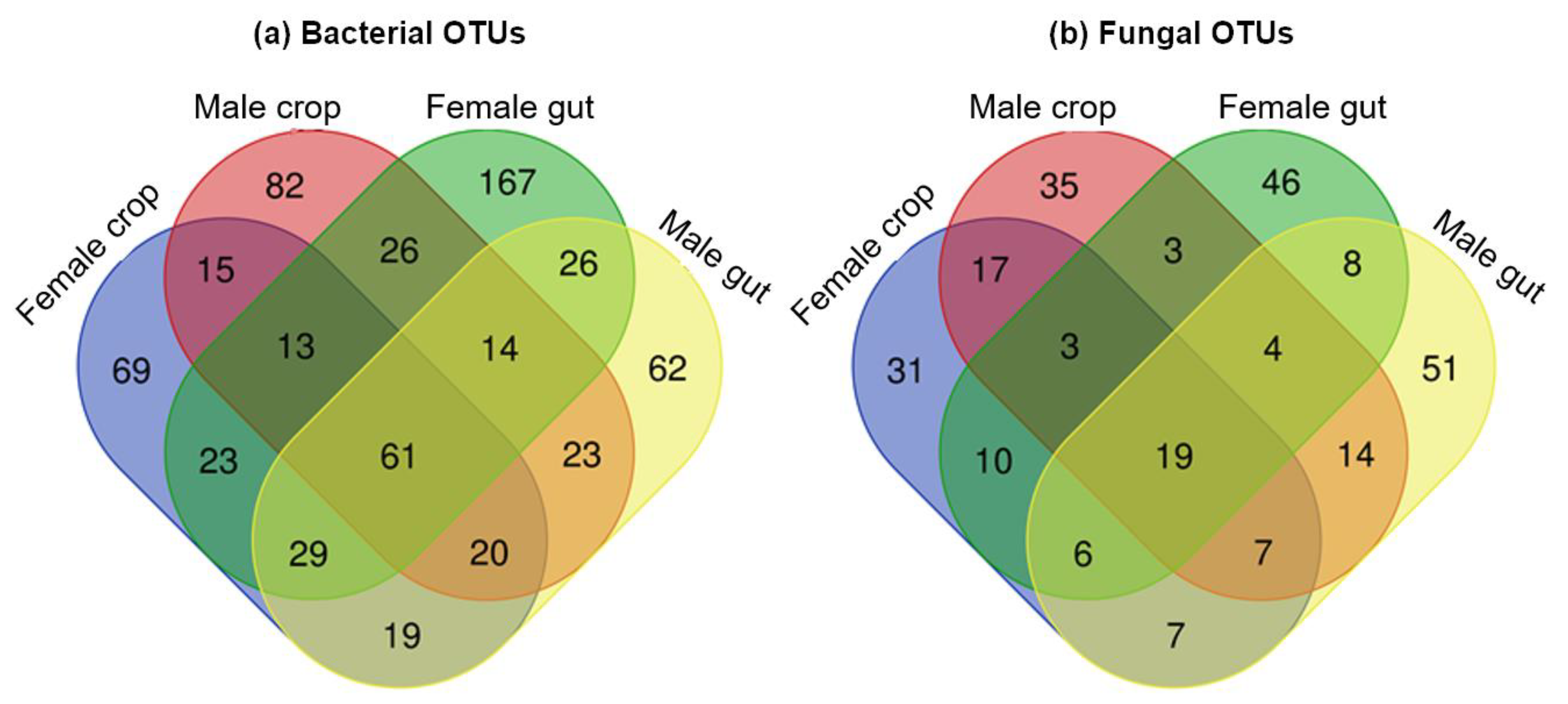 Pathogens Free Full Text Comparative Analysis Of The Bacterial And Fungal Communities In The Gut And The Crop Of Aedes Albopictus Mosquitoes A Preliminary Study Html