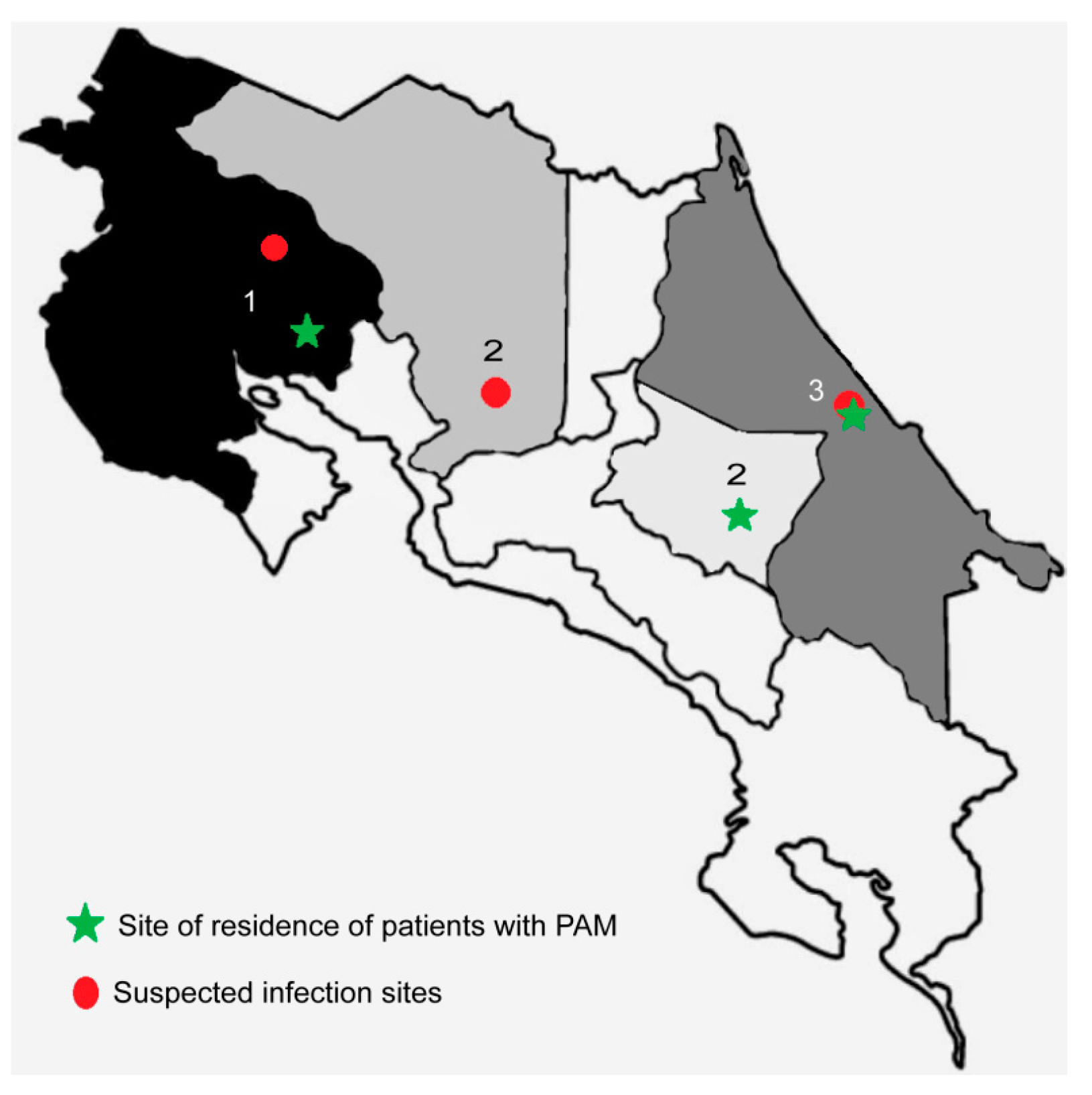 Pathogens 09 00629 g001