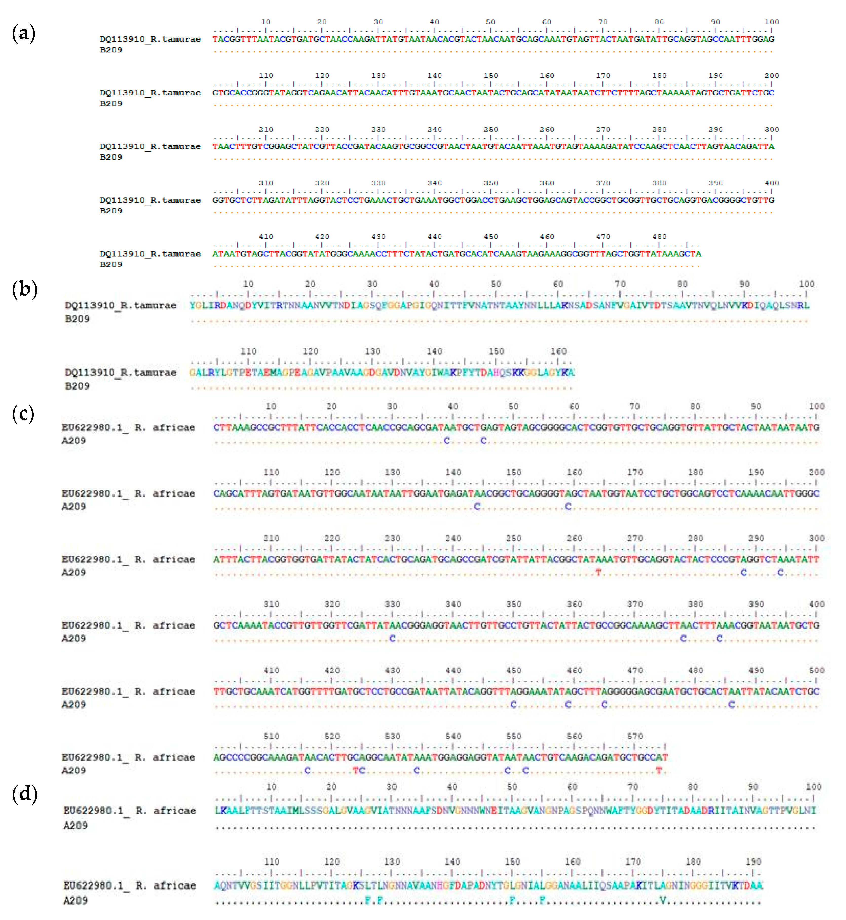 Pathogens 09 00631 g003