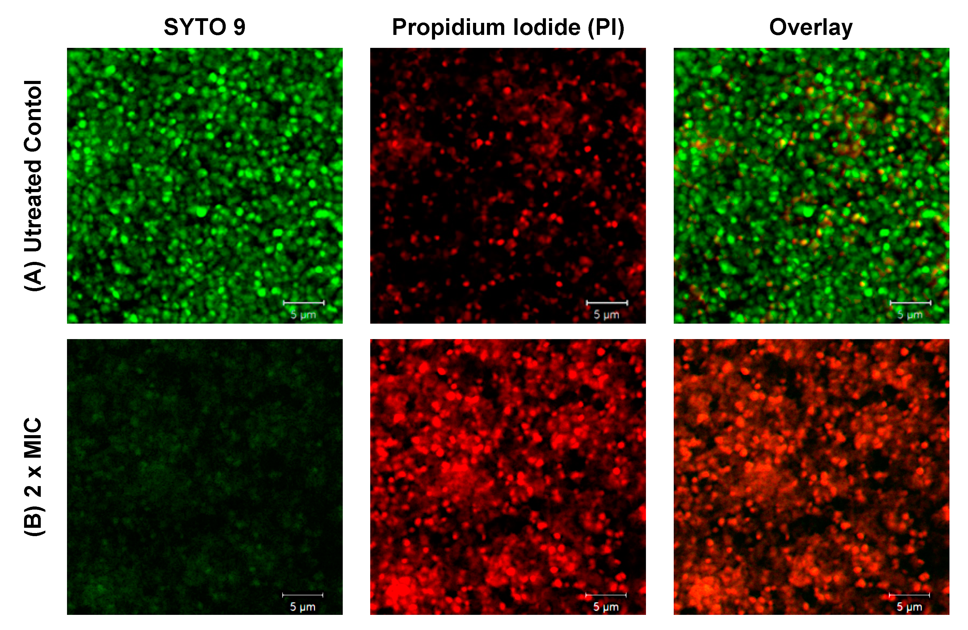 Pathogens 09 00646 g002