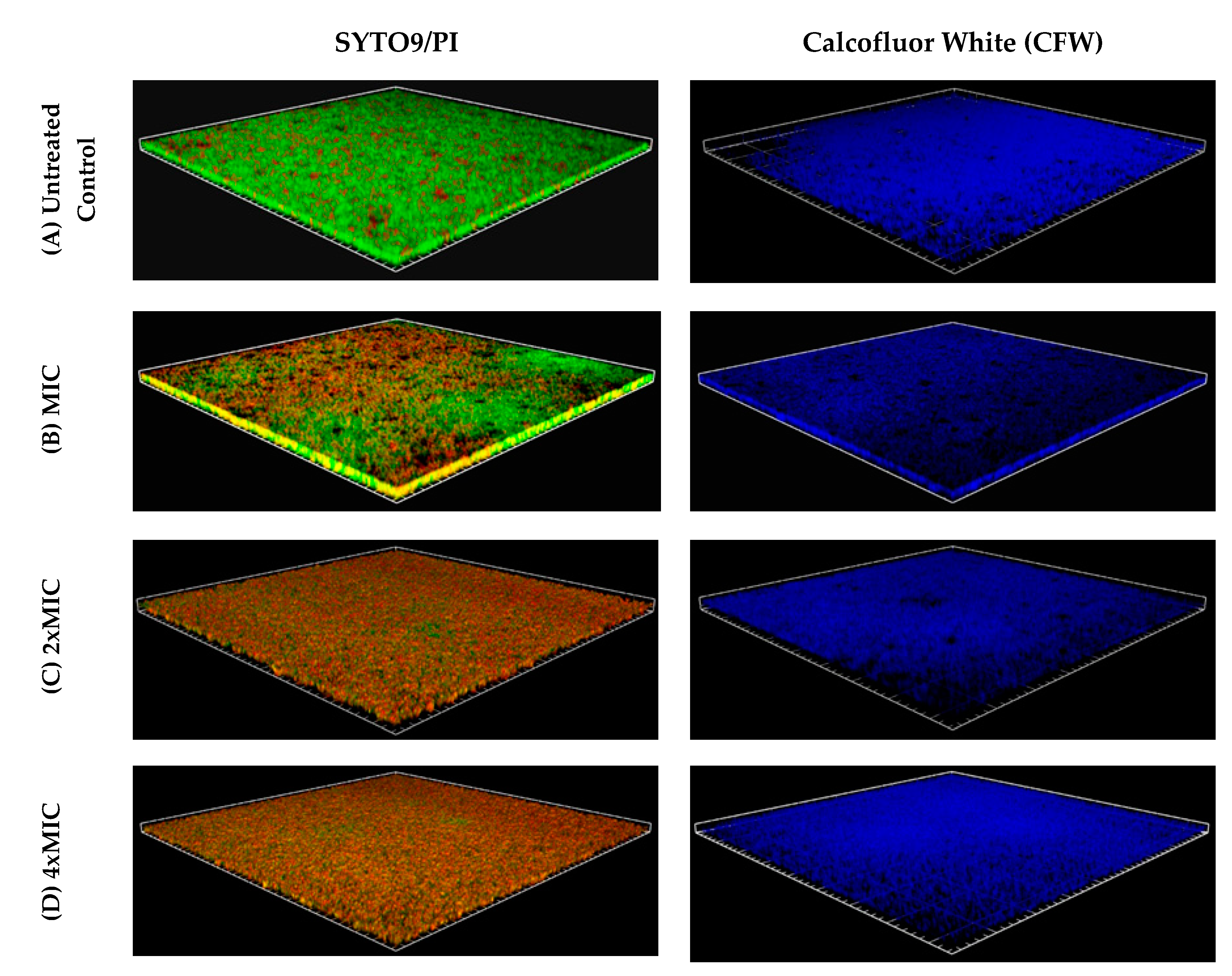 Pathogens 09 00646 g003