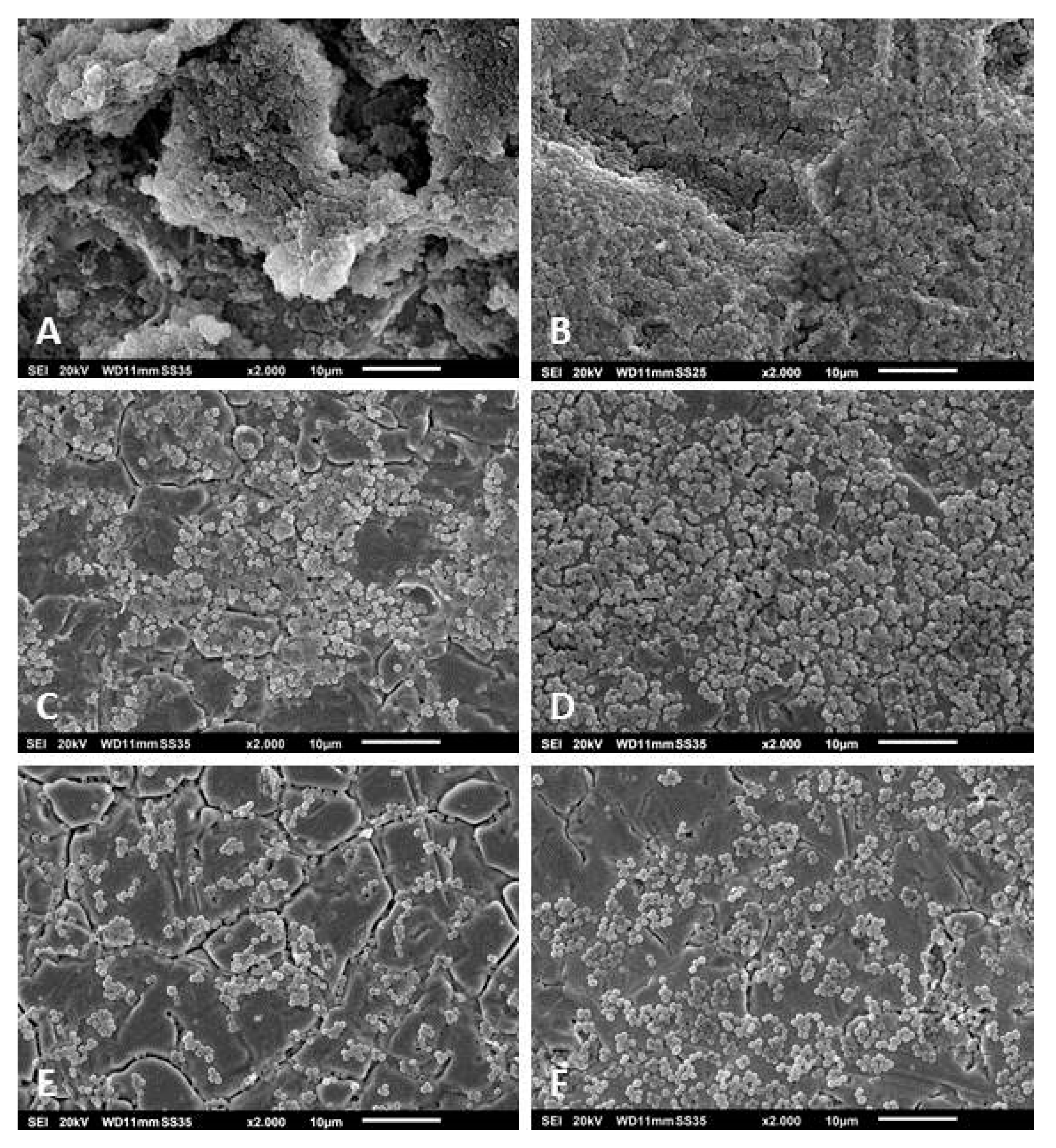 Pathogens 09 00649 g002 Pathogens 09 00649 g002