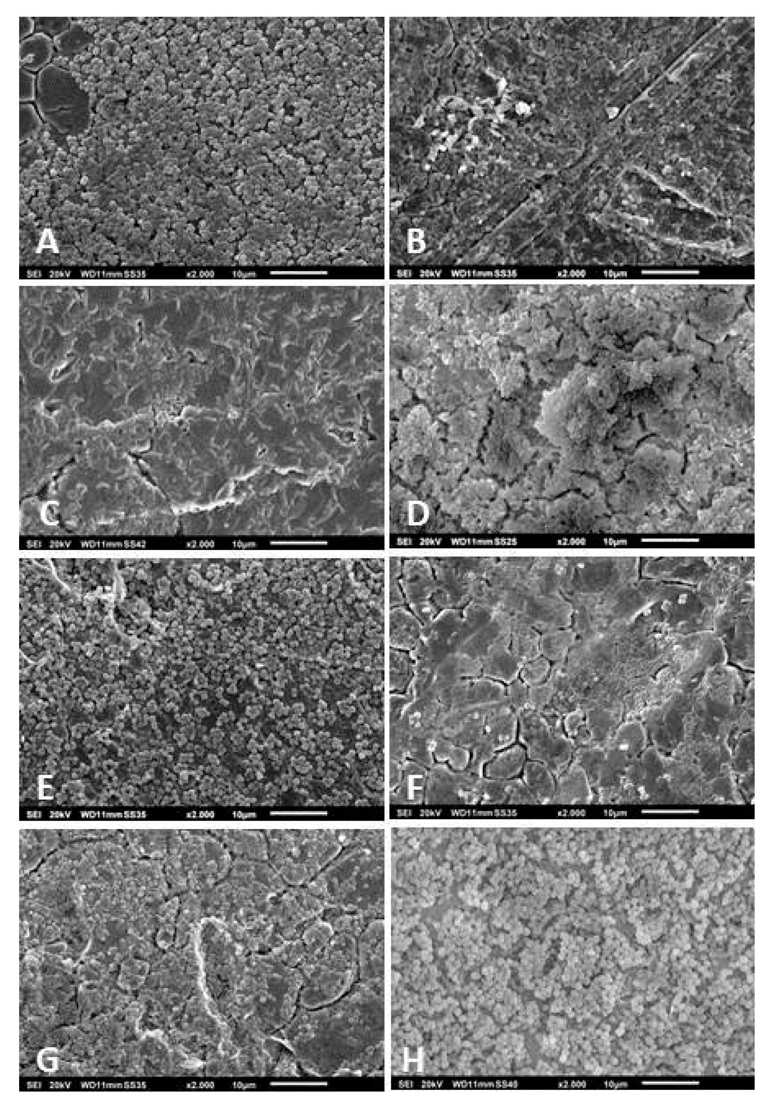 Pathogens 09 00649 g004 Pathogens 09 00649 g004
