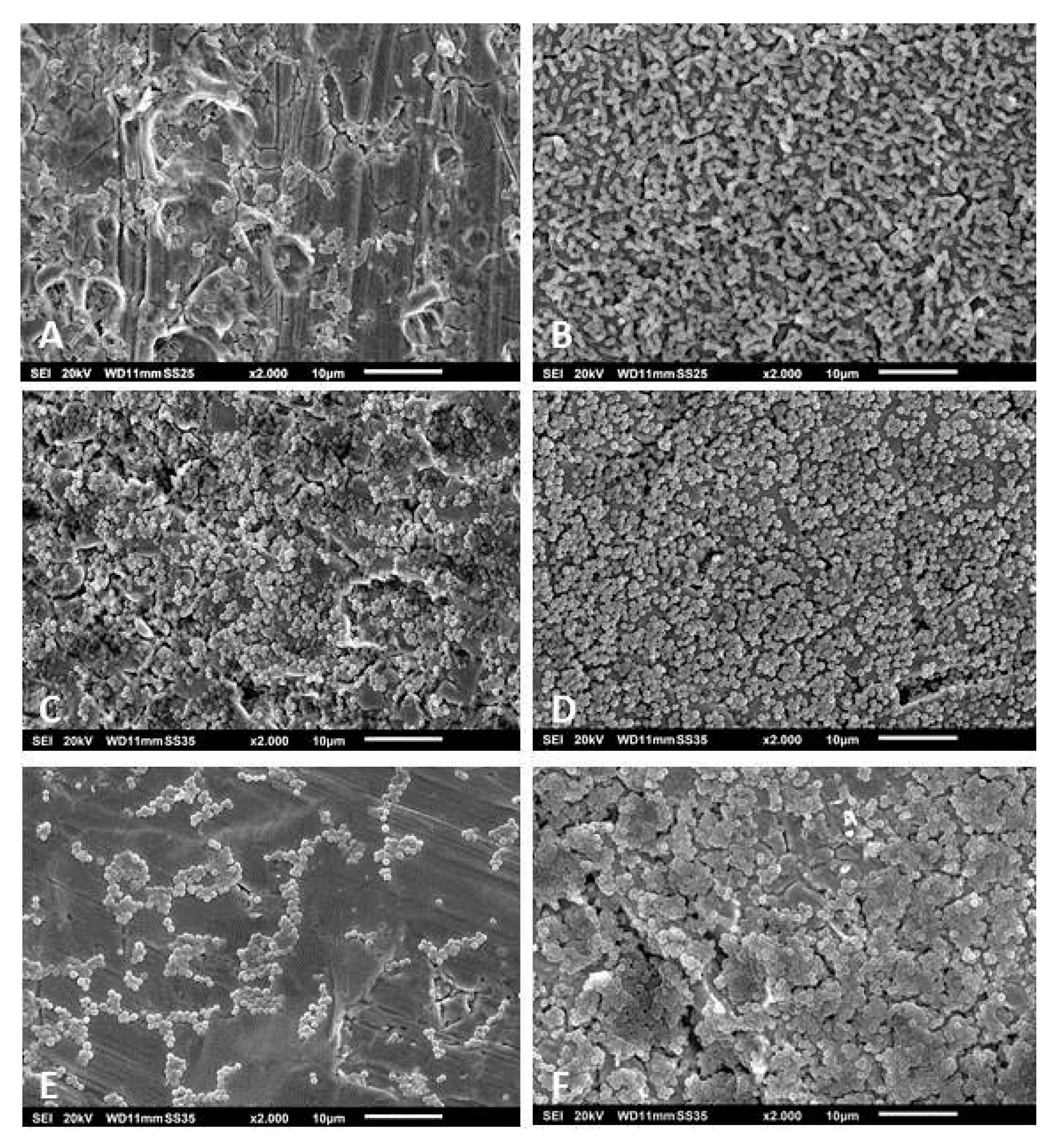 Pathogens 09 00649 g005 Pathogens 09 00649 g005